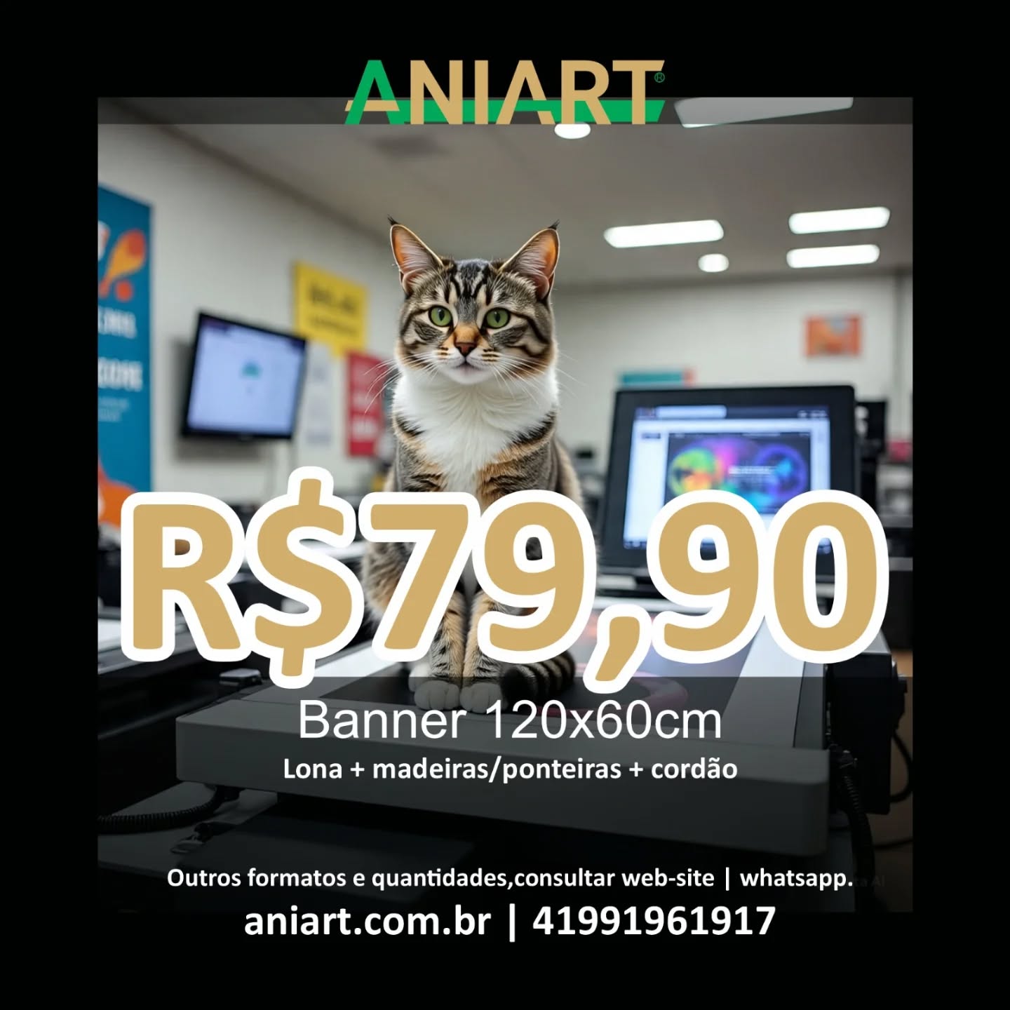 www.aniart.com.br
whatsapp 41991961917