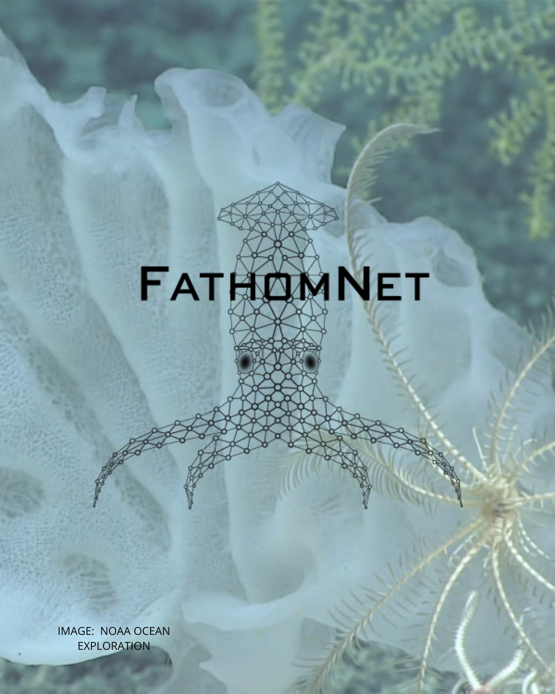 As we enter a new season, we're excited to share updates from the #FathomNet program. This summer, we celebrated the completion of our third and biggest Kaggle competition with 109 participants and 5 winning teams. We also successfully connected #FathomVerse with the #FathomNetDatabase, a key milestone in developing interconnected solutions to enhance AI for ocean discovery. FathomVerse has now contributed 99,124 labeled images, representing 47% of the total dataset.
We appreciate your continued support as we work to connect communities and accelerate ocean discovery. Read our latest newsletter for more updates from our team! Link in bio!