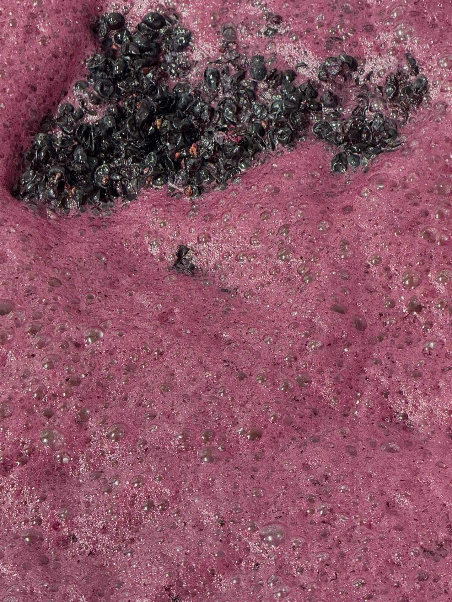 Some people lift weights. We do punch downs! Here’s Malbec in fermentation. During fermentation, grape skins, seeds, and juice naturally separate, with the skins floating to the top of the fermenting bin and the juice left at the bottom of the bin. We “punch down” the grape skins so that the skins keep contact with the juice. Why? Because that’s where so much of the magic lives. The color, bold flavors, and those assertive Red Mountain tannins we’re known for come from the skins of the grape.
It’s a workout, it’s messy, and it’s one of the most hands on ways we shape the wines you love. Next time you sip one of our big, bold reds, just know a lot of punches went into that glass.