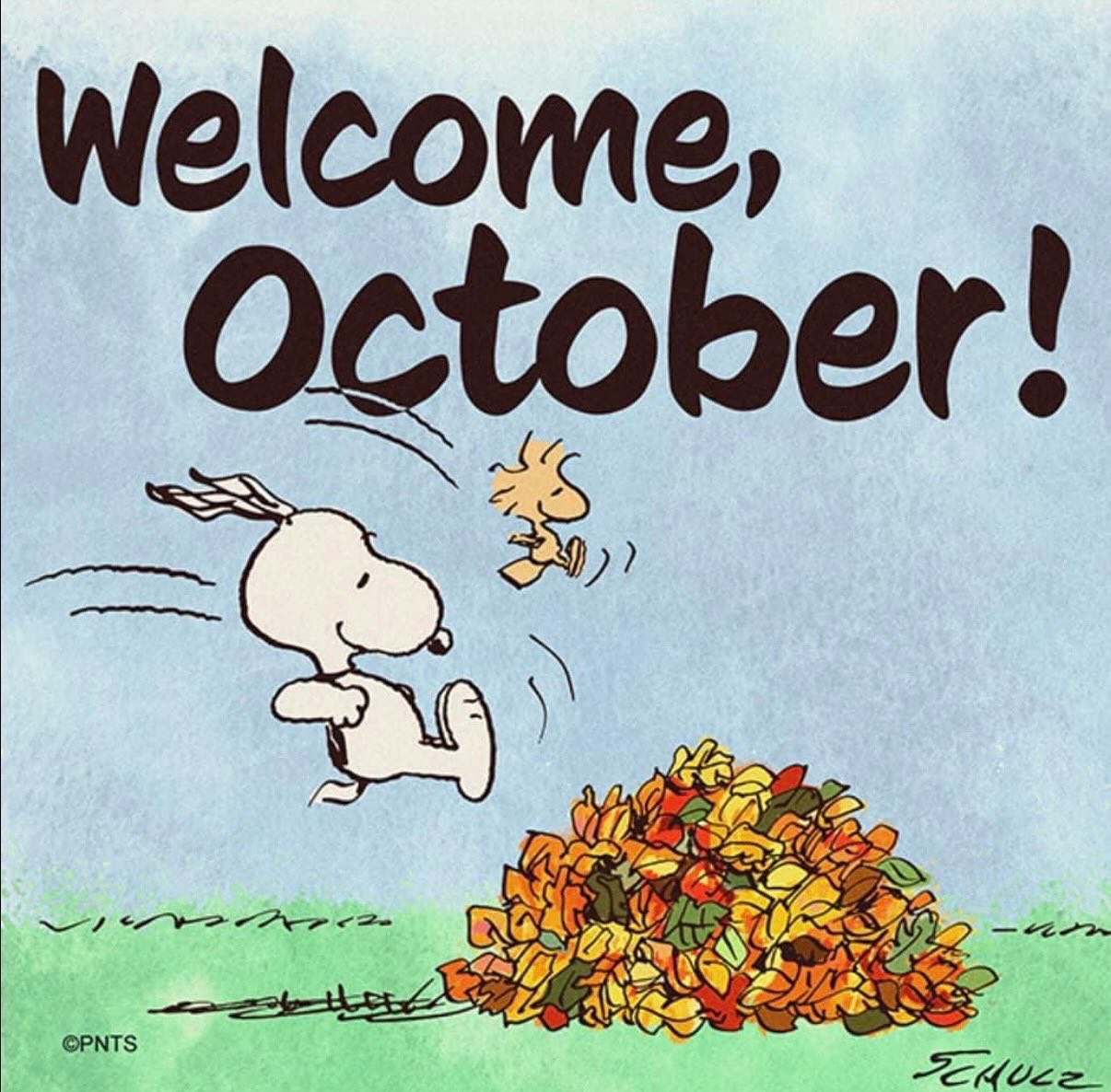 🍂🍁🍂🍁🍂🍁🍂🍁 Happy 1st October #westbridgford #independent #nursery #est1988 #thewhitehousedaynursery #underfundedchildcare #earlyyearseducation  #openendedplay #earlyyears #play #curiosity #letthemplay #outdoors  #ndna #learningthroughplay #milliesmark #birthtofivematters #earlyyearsoutdoors #milliesmark  #2025 #october  #keepingchildrensafe 
#aweandwonder #autumn