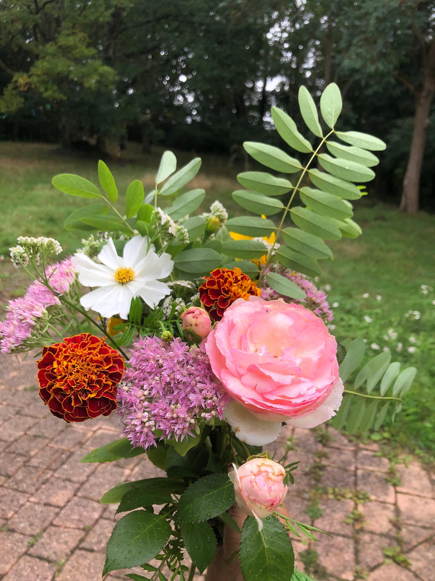 Septembre
Les dernières fleurs du jardin
Les premières lumières du matin
La confiture de tomates vertes
Les brumes
Les rhumes
Boulot
Dodo