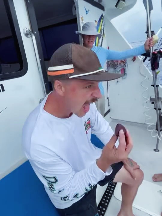 We had the three brother band of brothers aboard the Emma Nalani today. They showed up rocking their bait shop tackle shirts, so we knew right away they came ready for business. 🎣
We battled through rainstorms most of the day and these guys were absolute troopers. Went 1/1 on yellowfin and just missed going 1/1 on a marlin.
Since it was their first ever tuna, we broke out the ceremonial tuna heart eating ritual — and they stepped up like true warriors. 🫀
Solid effort, fellas — next time that marlin’s yours! 🐋
Shoutout to @bcrumbley 📸 🎥
.
.
.
.
.
.
.
.
.
#GoFishKauai #EmmaNalani #DeepSeaFishing #KauaiFishing #FishingCharters #YellowfinTuna #MarlinFishing #OffshoreFishing #BigGameFishing #FishingLife #FishingAdventure #SaltLife #OceanVibes #TunaTime #FishOn #CatchAndCook #IslandLife #KauaiAdventures #ShimanoFishing #Yozuri #NomadDesign #DaiwaFishing #PelagicGear #FishingAddict