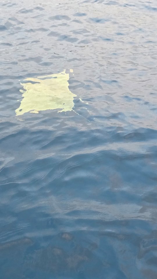 ✨ La sorpresa del amanecer de hoy: una raya de casi 1 metro nadando justo detrás de nosotros 🐟🌊
Todavía en octubre seguimos viviendo sesiones mágicas al amanecer 🌅
El agua mantiene una temperatura increíble, nada de frío… ¡al contrario! 💦
Cada día el mar nos regala algo nuevo para sorprendernos 💙
#AmanecerEnElMar #BarcelonaVibes #PaddleSurf