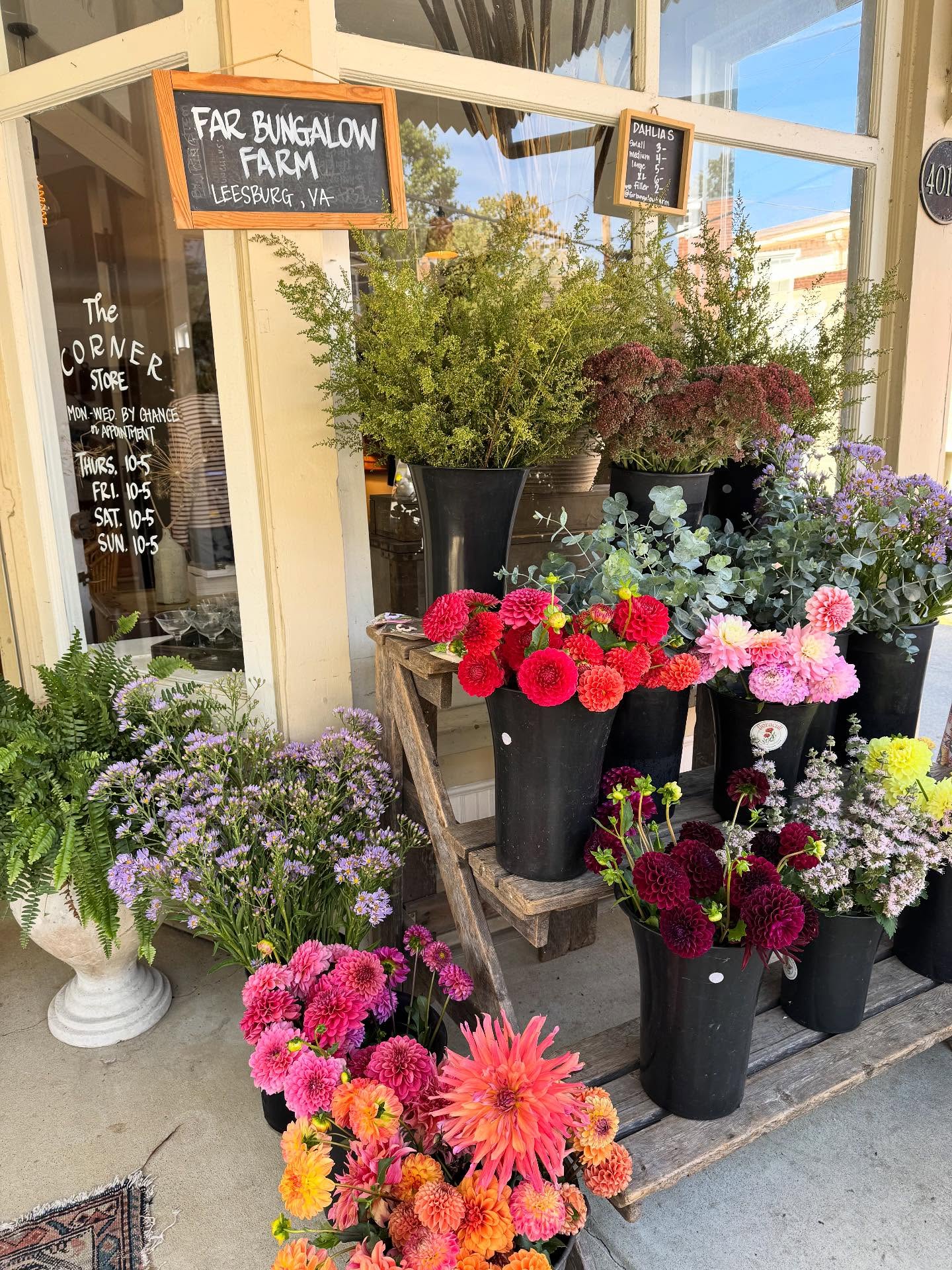 The Waterford Fair! We are here all weekend at the @cornerstoreva selling flowers from the farm and with Dahlia help from my fellow growers of @rockandriverflowers !
Come let me build you a bundle! We have #flowerdiapers so they stay fresh!
@snailsdocrochet and @mapleandryebakery are here too!
@waterford_fair #localflowers #dahlias #flowerfarm #sustainableflowers #loudounva