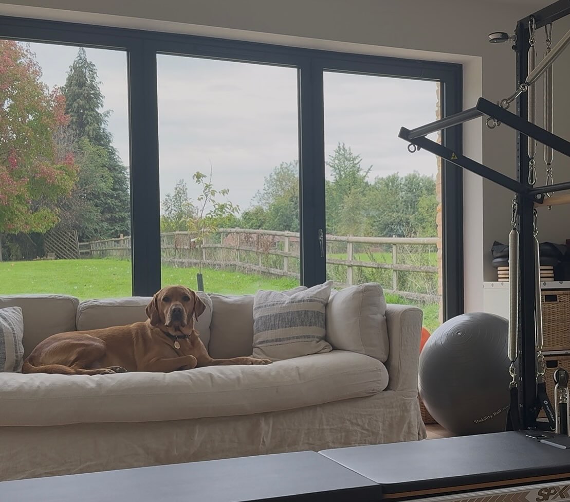 Jude kept a close eye on me this morning! #virae #viraepilates #viraépilates #pilatesdog #pilates #pilateslovers💕 #stottpilatesinstructor #merrithew #reformerpi̇lates #cadillac #cadilac #tower