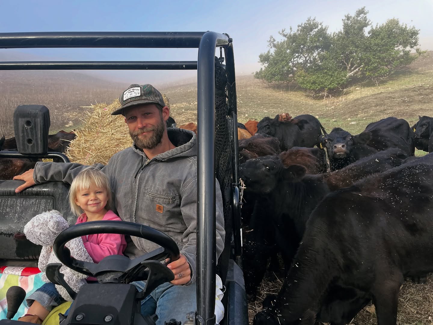 Foggy morning cow moves complete with ๐งธ
#ranching #beef #cows #familybusiness #california #grazing #centralcoast #santamaria #slocounty