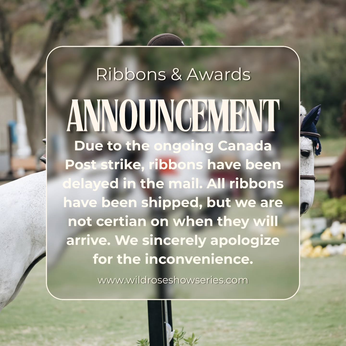 π¨ Ribbon Shipping Update π¨
We wanted to let everyone know that due to the ongoing Canada Post strike, ribbon deliveries are unfortunately being delayed. π¦βοΈ
β
All ribbons have already been mailed out, but we are not sure exactly when they will arrive.
π We sincerely apologize for the inconvenience and thank you for your patience as we wait this out together.
Your support means so much, and weβll keep you updated if anything changes. ππ΄