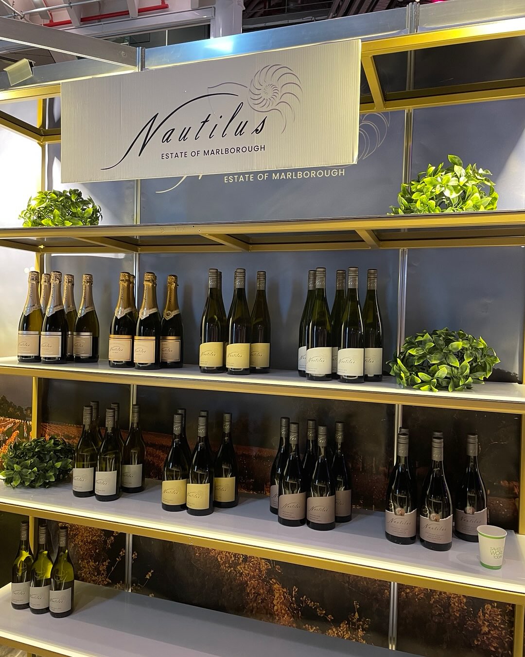 Winetopia Auckland | Yesterday & Today
We’re thrilled to be part of the incredible Winetopia Auckland experience — celebrating wine, flavour, and good times! 🍷✨
Come find us today and discover our beautiful Nautilus wines — crafted with passion and made to be shared.
🎉 Special Promo: Sip. Celebrate. Win.
Buy any 3 bottles of Nautilus and go in the draw to WIN a limited edition Nautilus 40th Anniversary Gift Box! 🎁🍾
Don’t miss your chance to taste, explore, and celebrate with us — just for one more day! See you soon!
#NautilusEstate #WinetopiaAuckland #NZWine #SipCelebrateWin #40YearsOfNautilus #WineLovers #winetopia2025