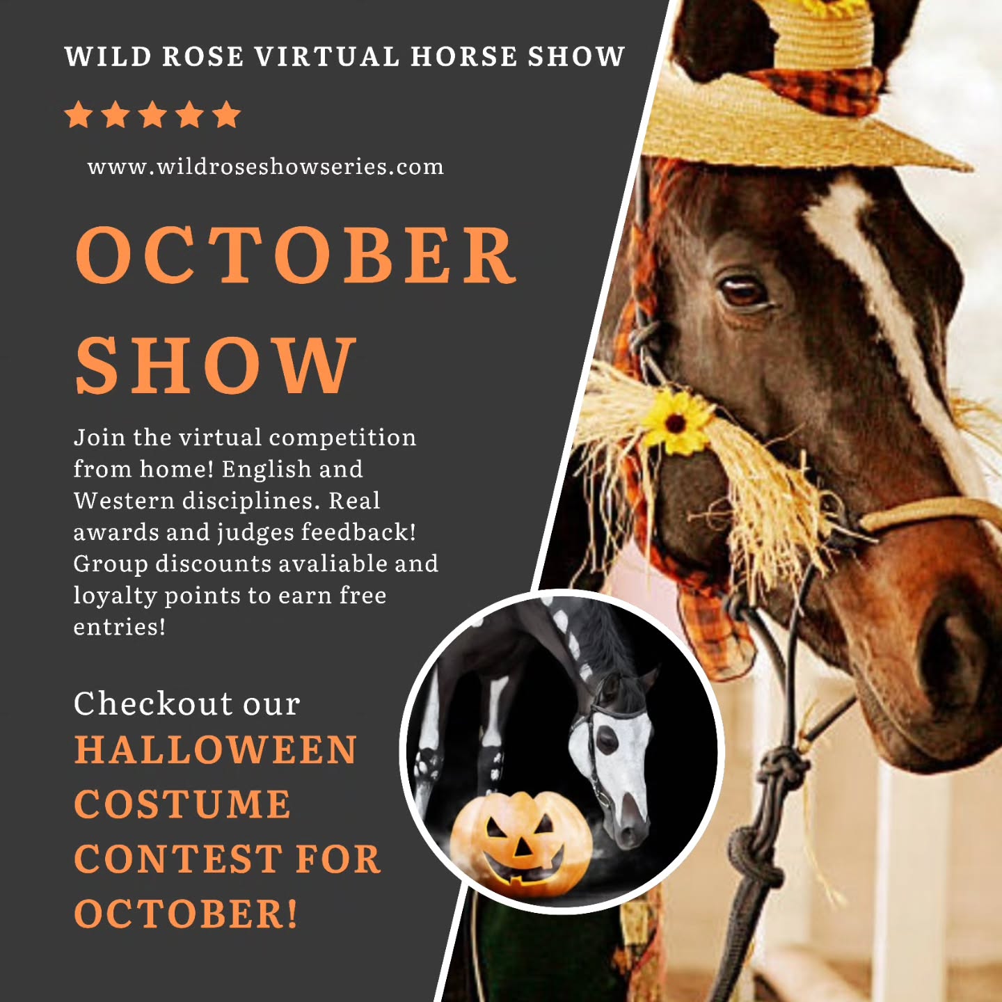 ππ» October Show is Now Open! π»π
Get ready for some spooky fun β our October Virtual Show is officially open for entries! This month features a special Halloween event where riders and horses can dress up in their best costumes and compete for exclusive Halloween-themed ribbons! π§‘πΈοΈ
Whether you go for funny, creative, or downright spooky β we canβt wait to see your Halloween spirit shine in the show ring! π΄β¨
π
Enter today and join the fun at: www.wildroseshowseries.com
π§ββοΈ Costume creativity is encouraged!
#VirtualHorseShow #HalloweenHorseShow #EquestrianFun #RideFromHome #ShowYourSpookySide #wildrosevirtualhorseshow #virtualshowing #VirtualHorseShow