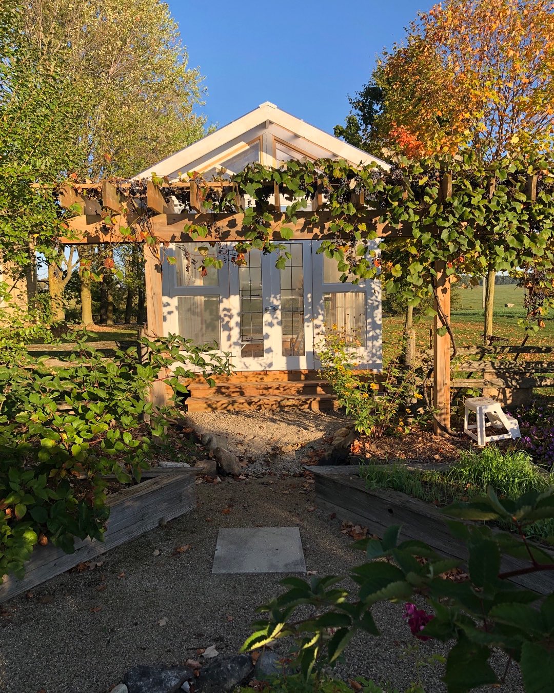 Another in a long line of almost finished projects! This greenhouse is made of recycled windows used in the farm house at one time.