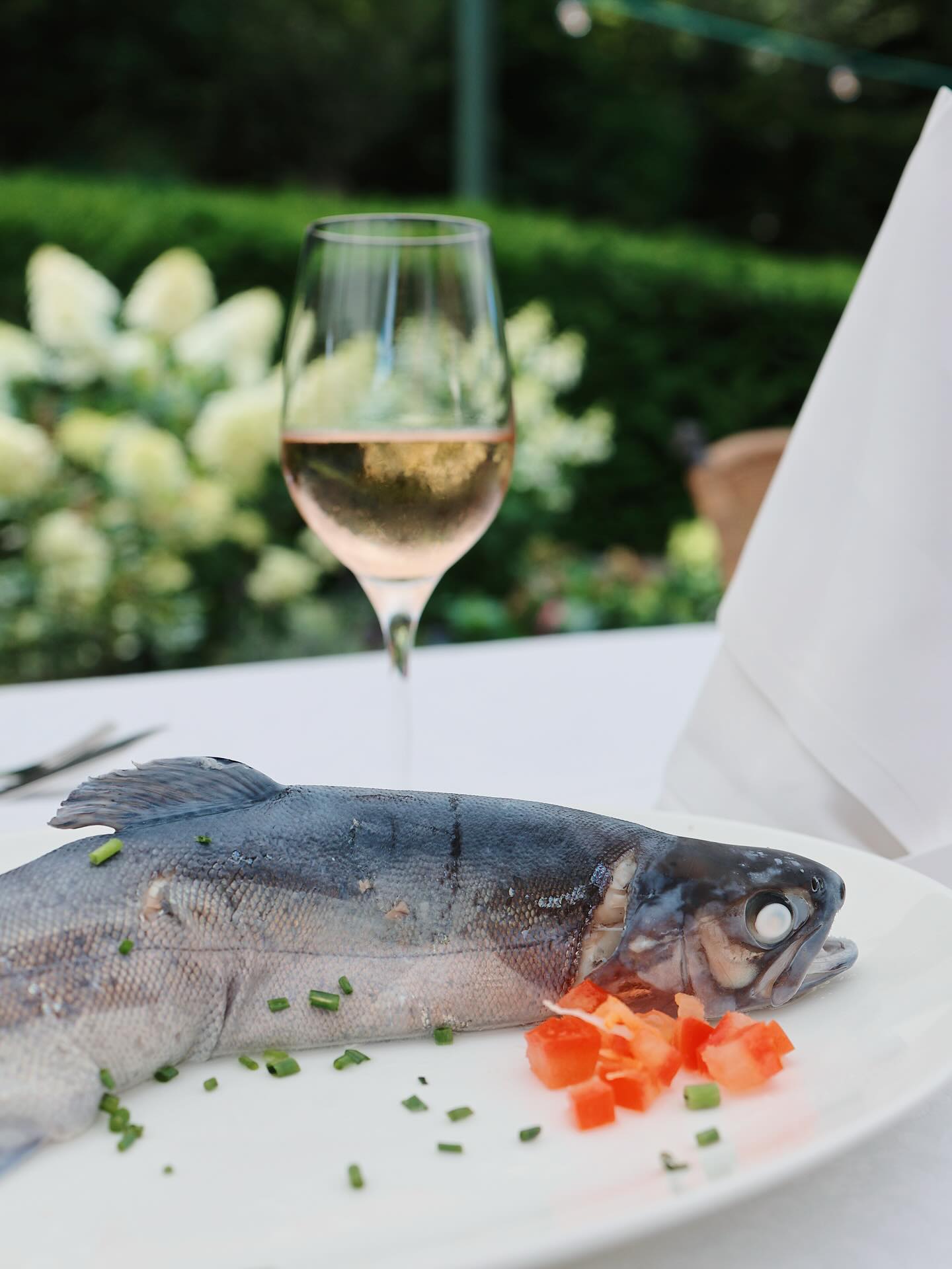 🐟 Forelle blau – Frischer geht’s nicht! 💙
Direkt aus unserer hauseigenen Fischzucht auf den Teller. Diese wunderschöne Forelle wurde nach traditioneller Art „blau” zubereitet – eine Zubereitungsmethode, die die natürliche Frische und den delikaten Geschmak perfekt zur Geltung bringt.
🌿 Das Besondere: Die charakteristische bläuliche Färbung entsteht nur bei fangfrischem Fisch – ein echtes Qualitätsmerkmal!
Ein kulinarischer Genuss, der die Verbindung zwischen Natur, Handwerk und regionaler Gastronomie feiert.
🎣 Aus unserer Zucht – auf Ihren Tisch
💚 Nachhaltig, regional, köstlich
#ForelleBlau #HauseigeneFischzucht #FrischAusDemTeich #Regionalität #Nachhaltigkeit #Genussmomente #FischDelikatesse #TraditionelleKüche #FarmToTable #RegionaleProdukte #GourmetErlebnis #Feinschmecker #FrischerFisch #Forelle #CulinaryArt