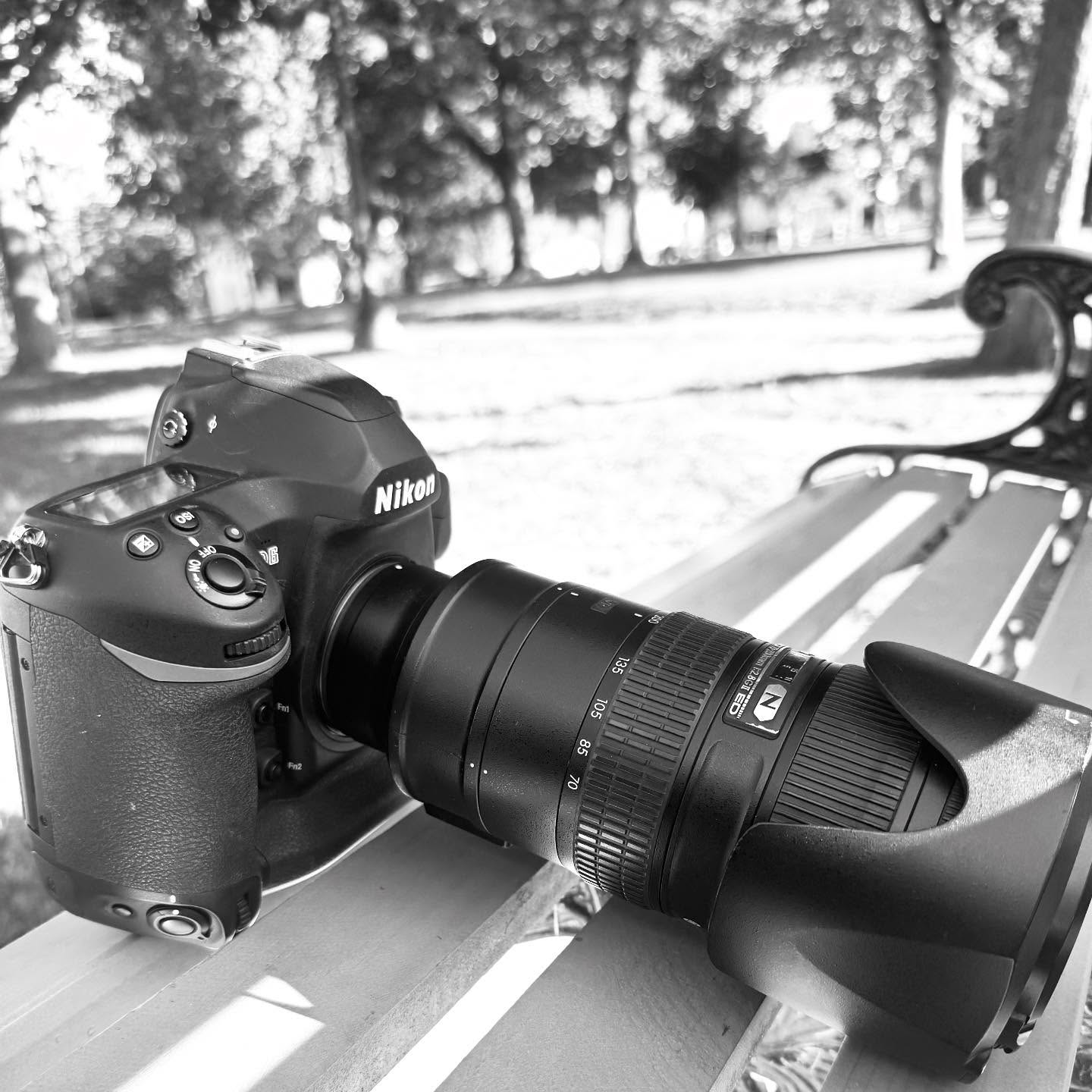 Gorgeous night for a Classic Family session! Loved meeting my two new buddies and I even got to photograph a dinosaur on the Common! 🦖
Busy season has been wonderful and I have so many amazing sessions to edit. Lots of sneak peeks coming this week and maybe we can squeeze in a few more sessions while it’s warm before the season officially wraps with Tree Farm Minis.
Happy Sunday! I’m off to edit lots of smiles and hugs! Love this time of year and capturing so many special family moments. ❤️ (iPhone pic)