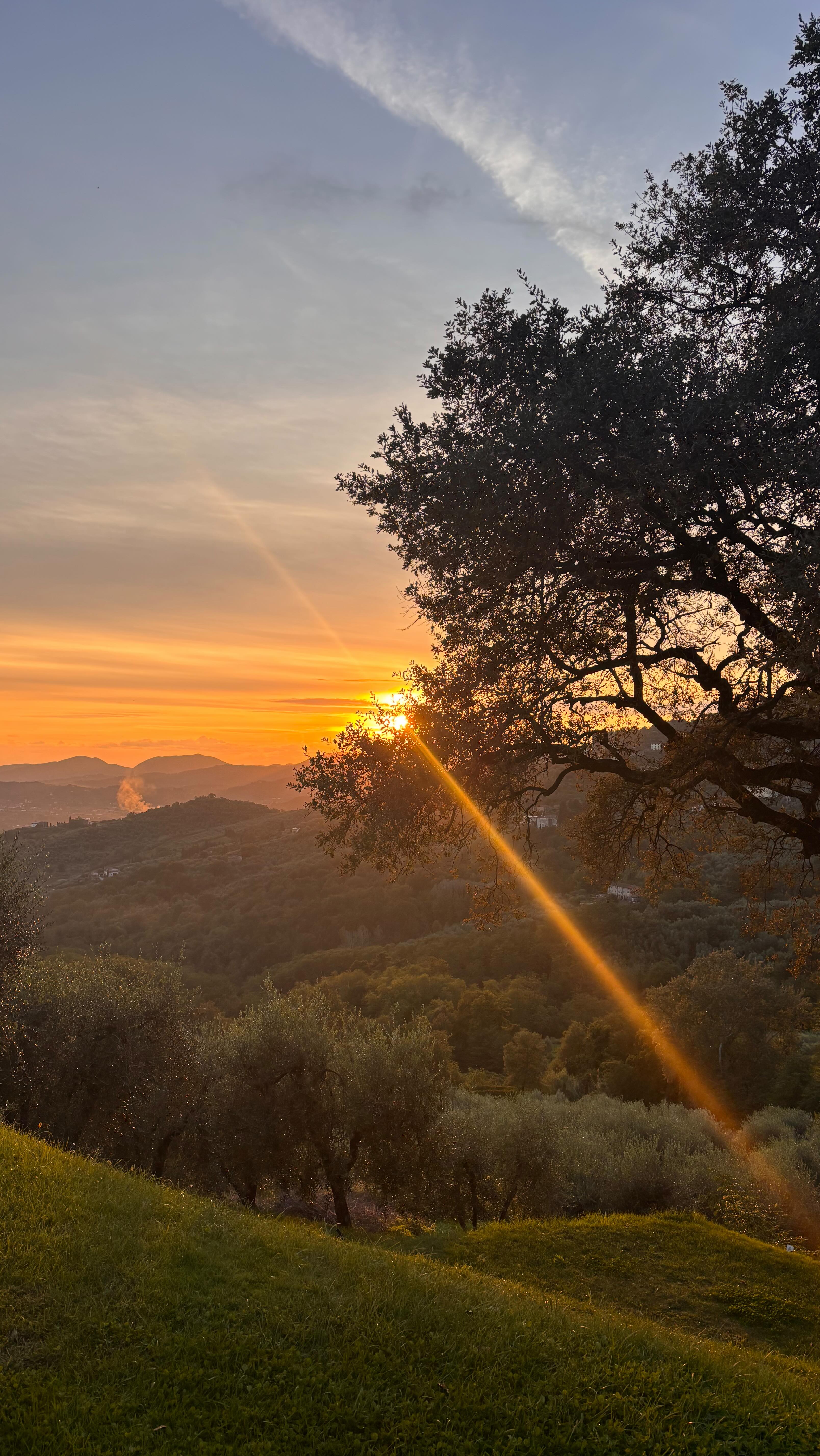 Under the Tuscan Sun ๐
A weekend of restful scenes, full tummies and sunny strolls in the rolling hills outside Lucca with some of my favs ๐ฏโโ๏ธ
DM if this picturesque spot tickles your fancy!
This is either my 10th or 11th visit @forestaria
Itโs so good, Iโve lost count!!
Nature | Food | Culture ๐ฟ๐๐ค๐ผ๐ฎ๐น