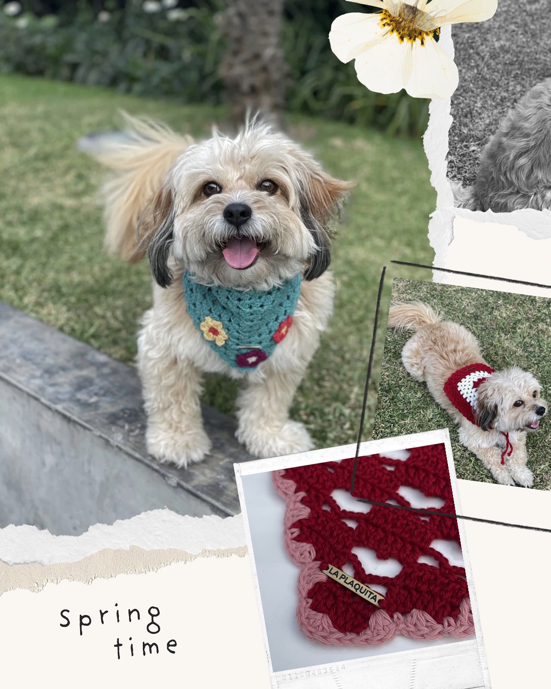 🌸 ¡SPRING SALE! 🌸
Bandanas de crochet, 100% únicas y hechas a mano con mucho amor 🧶
Aprovecha los descuentos de hasta 30% y llévate una pieza one of a kind para tu peludito 🌼