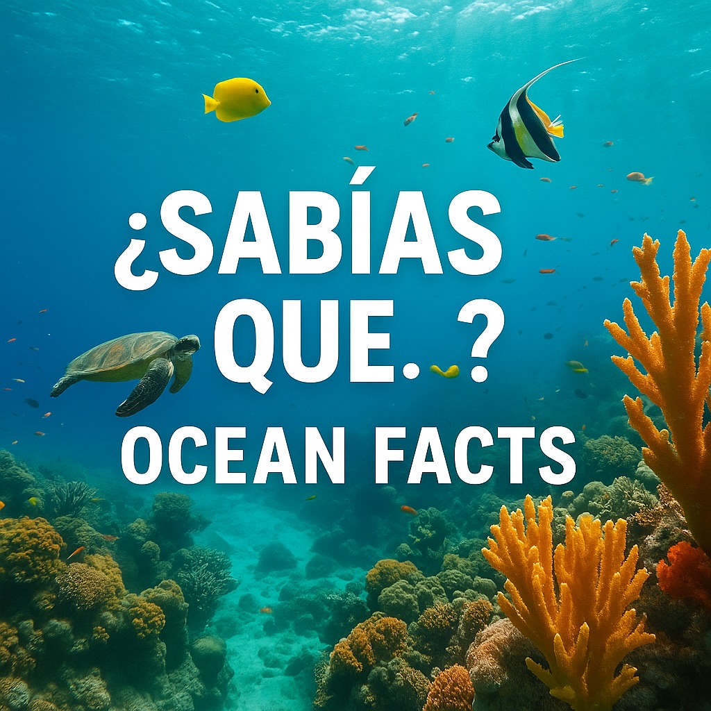 Sabías que el océano guarda más secretos de los que imaginamos? 🌊
En este carrusel te compartimos datos reales, sorprendentes y hermosos sobre los maravillosos seres que habitan bajo el mar.
Desde delfines que se llaman por su nombre hasta el aire que respiramos, que nace en el azul profundo.
Cuidar el mar no es solo proteger un paisaje,
es cuidar el hogar de todos. 💙
👉 Desliza y descubre lo que el océano nos enseña cada día.
💬 Cuéntame cuál de estas curiosidades te sorprendió más.
🔖 Guarda este post para recordarlo y compartirlo con quienes aman el mar tanto como tu y nosotros.
Únete a #territorioalmar
#ALMAR #Océano #CuriosidadesMarinas #territorioalmar #CuidemosElMar #VidaBajoElAgua