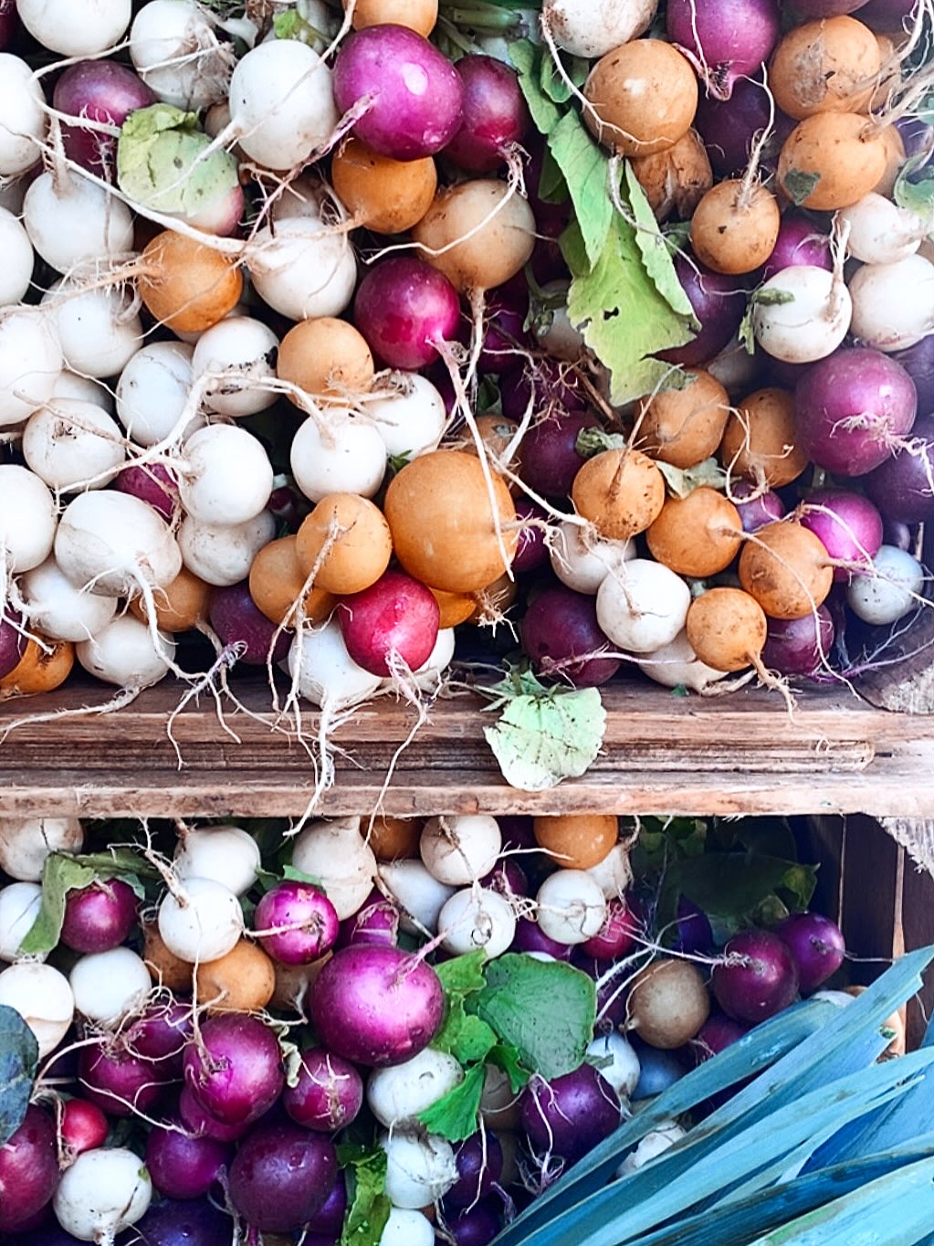 • RADIS •
C’est drôle, je ne pensais pas écrire un post qui porte ce nom un jour.
Et pourtant.
Ce matin, c’était tout simple mais tellement agréable.
Nous sommes allés au marché à côté de l’école avec les petits élèves.
Ce moment était doux, il m’a fait du bien.
Ces radis colorés étaient beaux.
Je les ai photographiés comme pour me souvenir de cet instant où il faisait froid mais chaud mon coeur.
Pendant ce petit moment suspendu, je ne pensais plus à ce qui me tourmente.
À la litiere de Chämpa qui est devenue bleue et qui me rappelle son insuffisance reinale, à comment je vais faire quand je ne pourrai plus être à mi-temps à l’école, à la retraite d’automne que je n’ai pas réussi à mettre en place, au tatouage qui est toujours au stade de projet, à où Antoine va aller à l’école, à où je vais déménager (car mes voisins sont vraiment plus supportables), à comment / si / quand je rencontrerai de nouveau l’amour, et si cette fois-ci, ça finira bien.
Toutes ces questions qui cette nuit s’entrechoquaient dans ma tête.
Peut-être la faute à la pleine lune.
Elle a mis la lumière sur tous les chapitres passés qui se réouvrent encore parfois avec un goût amer de regret, de nostalgie dans les moments où je perds confiance en l’avenir.
Ces petits radis colorés ont été comme un ancrage dans le moment présent et ils m’ont fait du bien.
Je vous souhaite à tous des doux moments de pause où il n’y a rien d’autre à faire que d’apprécier le présent.
Et un grand merci à mon fils avec qui je suis dans cet état permanent.
Toute mon attention est portée sur ses sourires, ses pleurs, ses mots, ses rires, sa mousse au chocolat jusqu’au bout du nez, ses jeux, nos chansons, nos balades, nos discussions, ses découvertes (la poubelle à pédale a eu un effet waou), ses vêtements que je garde propres puis que je range dans des cartons à mesure que son corps grandit jour après jour.
Et puis parfois, tout ça s’arrête et mes angoisses retrouvent leur chemin vers ma conscience.
Je les note, je les écoute, c’est important de les prendre en considération.
Mais quelques radis colorés font du bien pour se reposer un peu en attendant de pouvoir y répondre.
