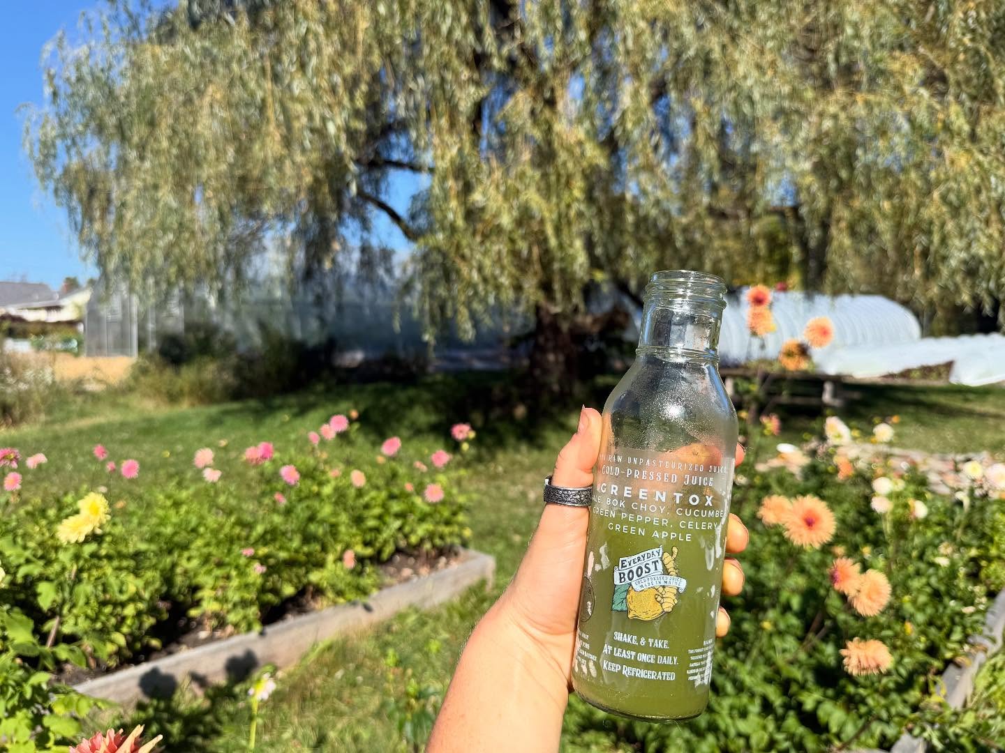 😋Couldn’t help myself and took a swig before snapping a picture of my view. ✨🧚 taking some moments of calm and feeling the change of the seasons (even if it’s 83 and I’m going to the beach) only a few “summer” markets left- come out and say hi, grab a juice, do a dance, tell me a joke, or just stroll on by and wave!