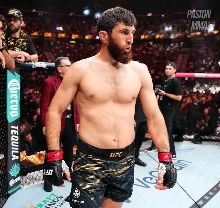 #UFC320 المقاتل محمد أنكالييف يصرّح بعد هزيمته:  "إذا ابتلاني الله بالهزيمة، فهذا لأنه يريد أن يجعلني أقوى. أنا أنحني لإرادته، لكن ليس أمام الصعوبات. أما الذين بقوا — شكراً لكم. والذين رحلوا، شكراً لكم أيضاً... فالله يُنقّي الطريق ليس فقط من الضعف، بل من الناس غير الضروريين أيضاً..."
#ufc 
#mma #abdulaziz #samuraijits #MMA #UFC320 المقاتل محمد أنكالييف يصرّح بعد هزيمته:  "إذا ابتلاني الله بالهزيمة، فهذا لأنه يريد أن يجعلني أقوى. أنا أنحني لإرادته، لكن ليس أمام الصعوبات. أما الذين بقوا — شكراً لكم. والذين رحلوا، شكراً لكم أيضاً... فالله يُنقّي الطريق ليس فقط من الضعف، بل من الناس غير الضروريين أيضاً..."
#ufc 
#mma #abdulaziz #samuraijits #MMA