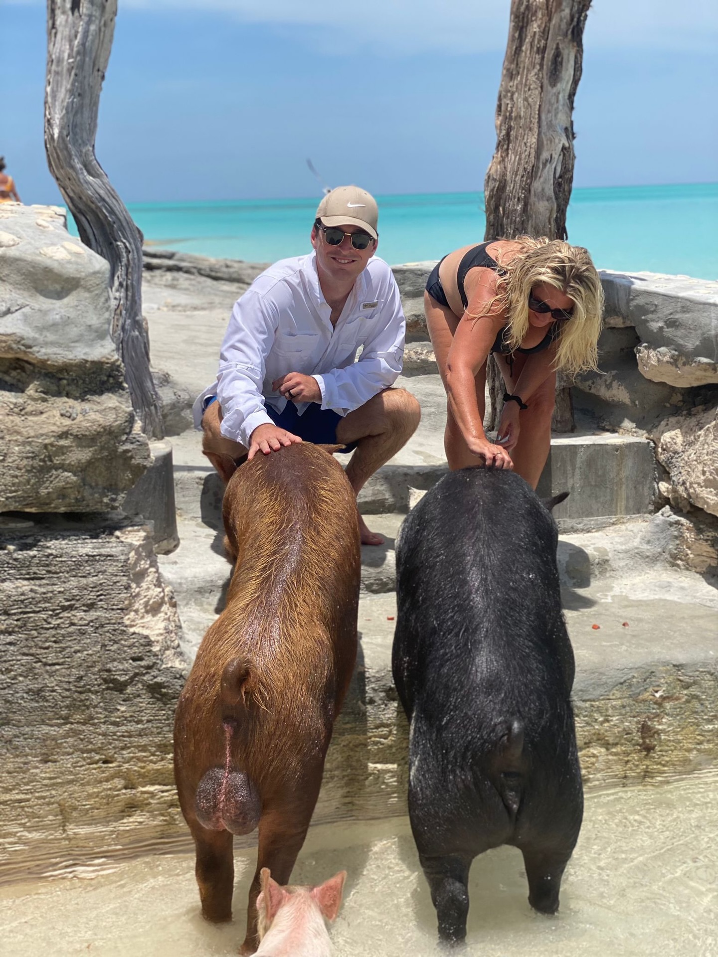 OCTOBER VIBEZ! 🌴 ❤️ #oasisocean7beachclub #pigbeach #swimmingpigsbahamas #roseisland #bahamas