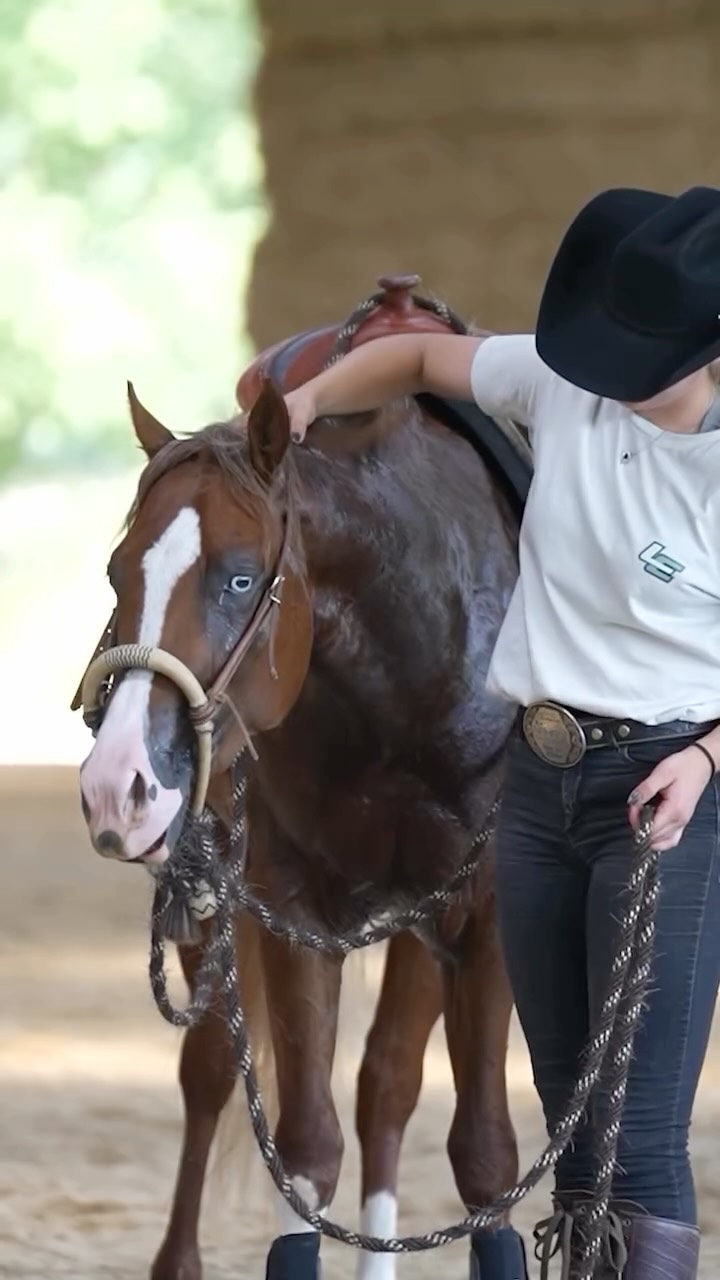 We’re excited about how this talented 2-year-old is coming along! ✨
💚 BE WALLA WHIZ WALT
2023 stallion by Walla Whiz Crome out of Be Full Chex Bounty
Bred and owned by EQH / Betty Egenter
🎥 @dv.media.production | edit: @j_design.equinemarketing
#LucieEgenterPerformanceHorses #LEPH #EQH #DONUTbitsandspurs #fixkraft #himel #JDesign #ride5ridingessentials #WigwamShowBlankets