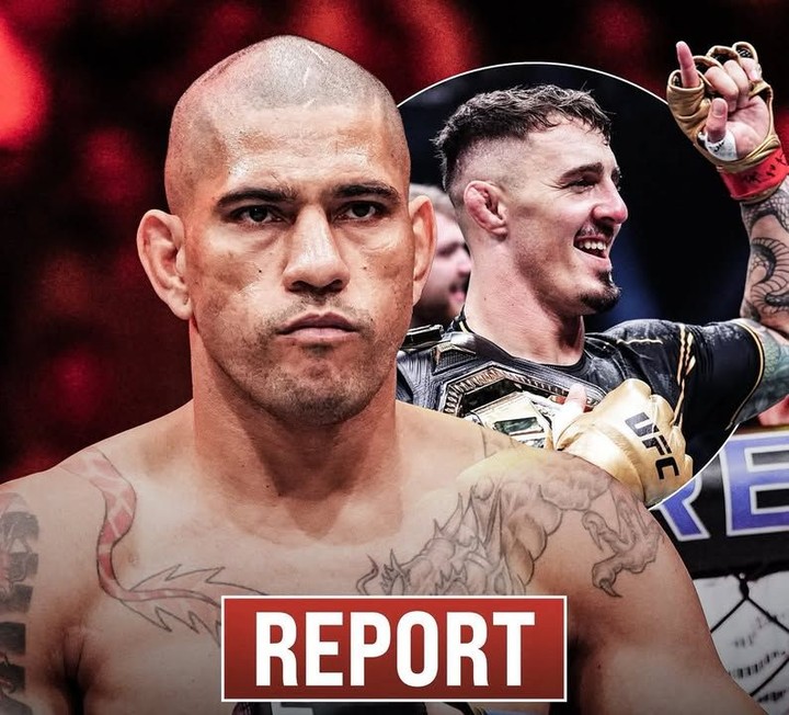 المقاتل البطل إليكس بيريرا صرح بإنه غير مهتم بمواجهة الفائز بين توم أسبينال و سيريل جان ويرغب في مواجهة جون جونز في البيت الابيض
#ufc 
#mma #abdulaziz #samuraijits #MMA المقاتل البطل إليكس بيريرا صرح بإنه غير مهتم بمواجهة الفائز بين توم أسبينال و سيريل جان ويرغب في مواجهة جون جونز في البيت الابيض
#ufc 
#mma #abdulaziz #samuraijits #MMA