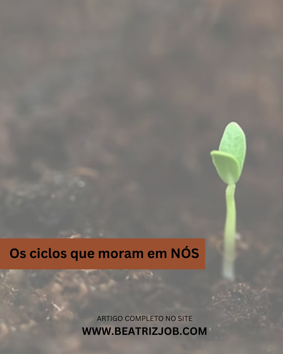 Entre o repetir e o transformar: o olhar psicológico sobre os ciclos.
Confira o artigo completo no site. Link na bio.
www.beatrizjob.com
#ciclos #ciclosfemeninos #psicologia #psicanalise #terapiaonline
