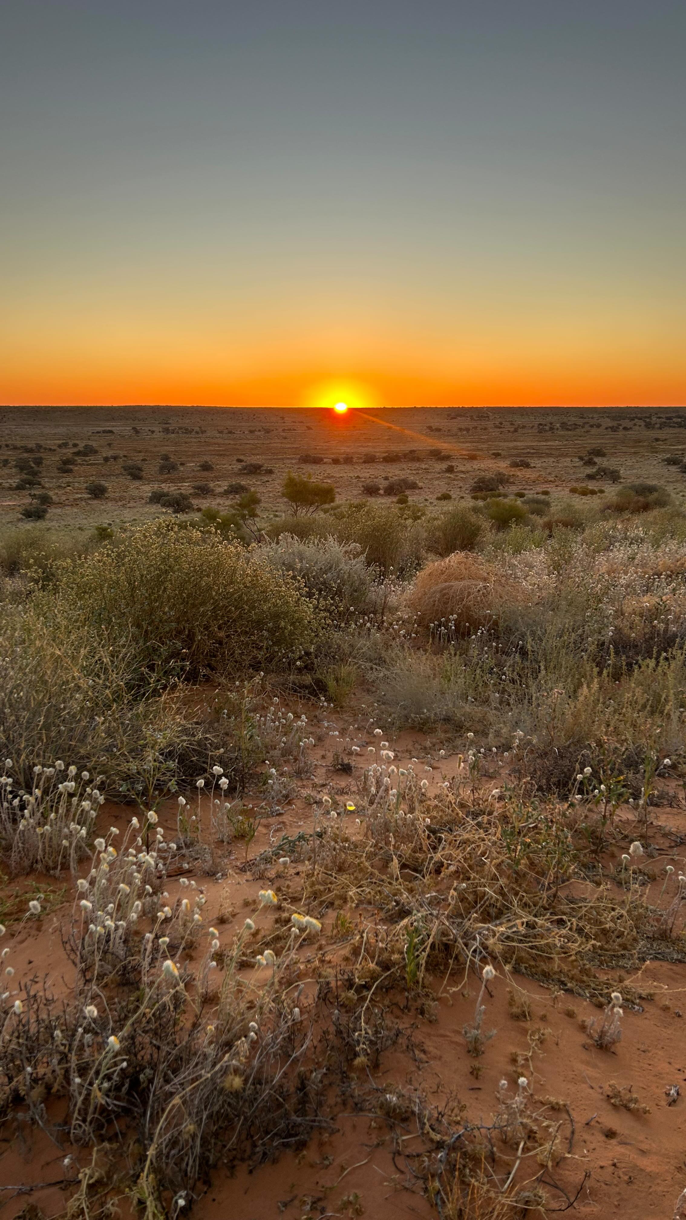 __POV: You hire a 4WD from @overlander4wdhire, join a tag-along tour with @australian_4x4_treks & instantly forget what a sealed road looks like 🚧
#toyotahilux
#toyota
#landcruisers4wd
#landcruiser
#tagalong
#fyp
#simpsondesert
#trayoncampers
#arb
#foryoupage
#bridgestone
