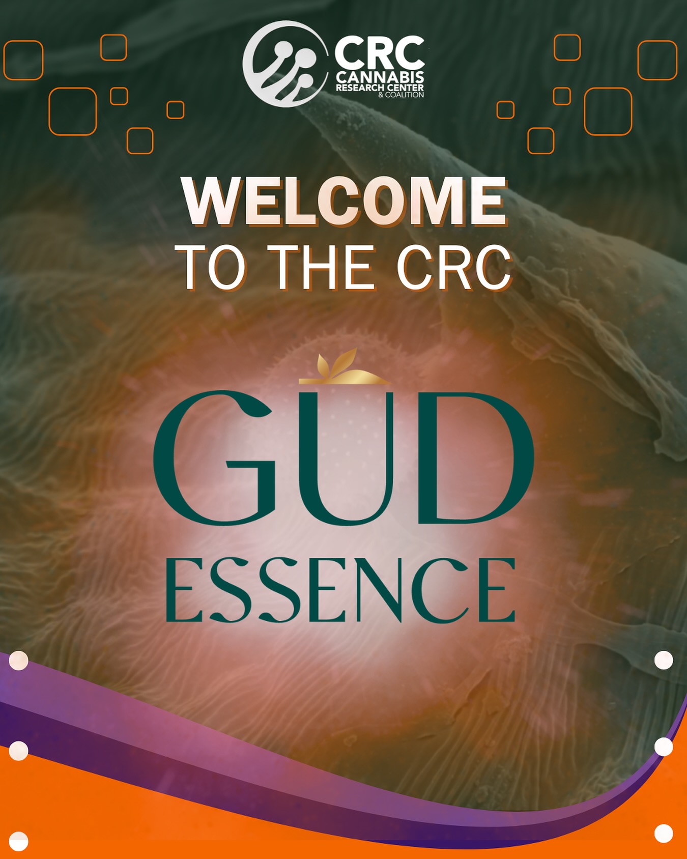 SCIENCE. STRATEGY. SOUL.
🚨🥦@gudessence is proud to announce that they have joined the Cannabis Research Coalition which is dedicated to advancing cannabis cultivation science through data-driven research, education, and industry collaboration.
“As a brand built on research, equity, and education, this partnership reflects our deep commitment to:
1) Clinical cannabis innovation
2) Evidence-based #education
3) Cross-sector collaboration
4) #Healthequity at scale
Our mission has always been clear: to return cannabis to its essence, as #medicine, as #ritual, and as a #cultural healing tool.
Joining the Cannabis Research Coalition allows us to do just that, while helping shape the next era of policy, science, and patient-centered care.”
-GUDEssence
#GUDEssence #CannabisResearch #ClinicalCannabis #CannabisScience #ReturnToBalance #WellnessWithEvidence #BlackWomenInCannabis #CulturalCannabis #EquityInCannabis #ResearchDrivenHealing #retailers #cultivators