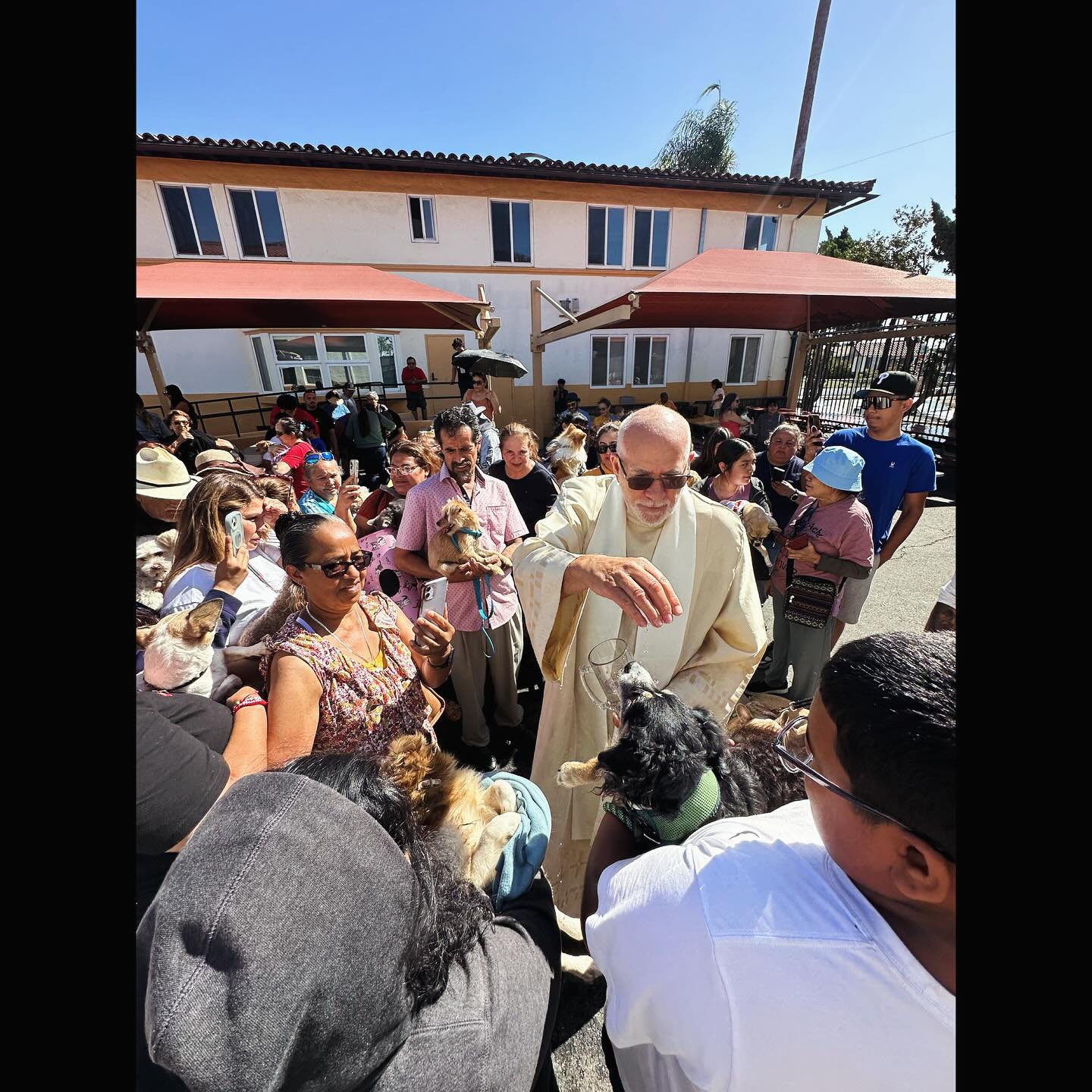 Father Gerry blessing beloved pets at our parish. A special moment of love, faith, and furry friends. 🐾
