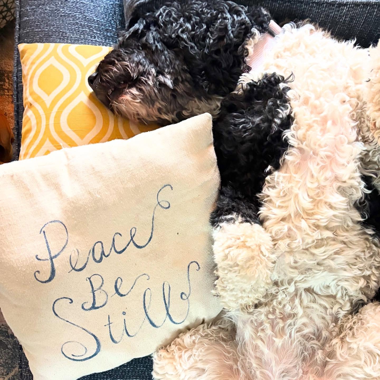 I think this means Harper can read, right? I mean. She's doing exactly what the pillow says. 😂
•
@erikak @grace.script , didn't you make this pillow for us? Harper is putting it into practice for sure.
