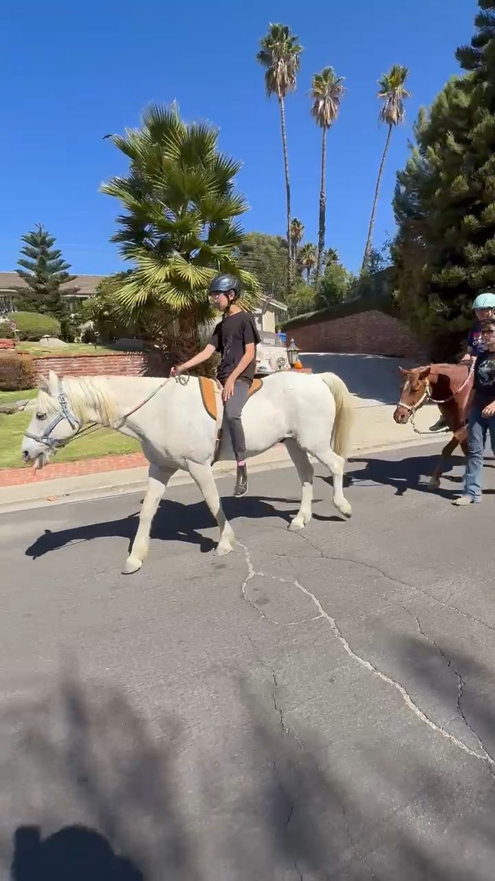 Walk and Talk trail ride time. Justin leads the way while asking about the benefits of riding a horse from Cassie
