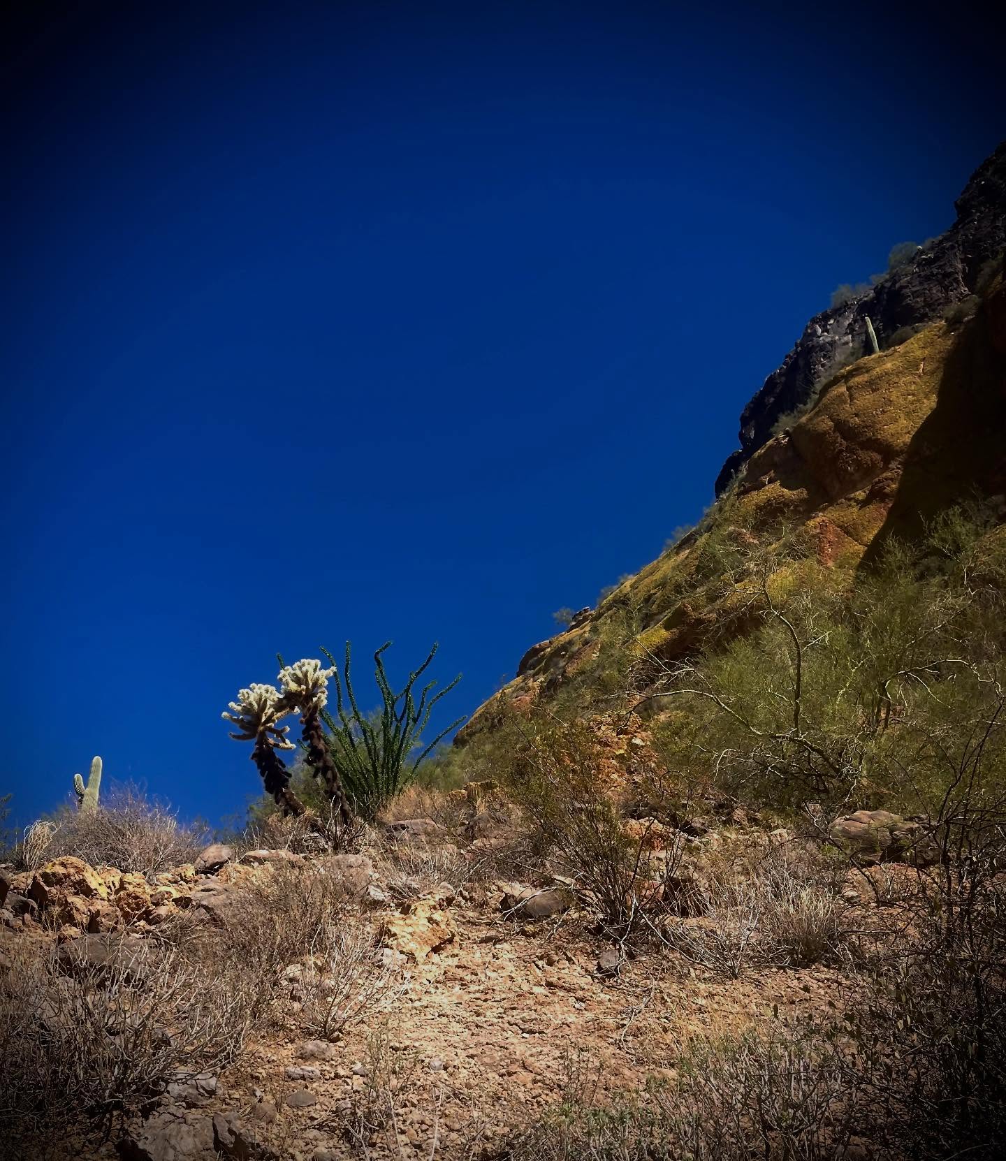 Arizona - It’s a dry heat #passmountaintrail