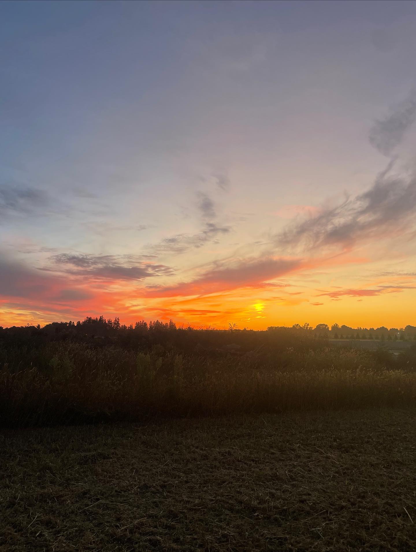 Quietly living in this season of endings and beginnings