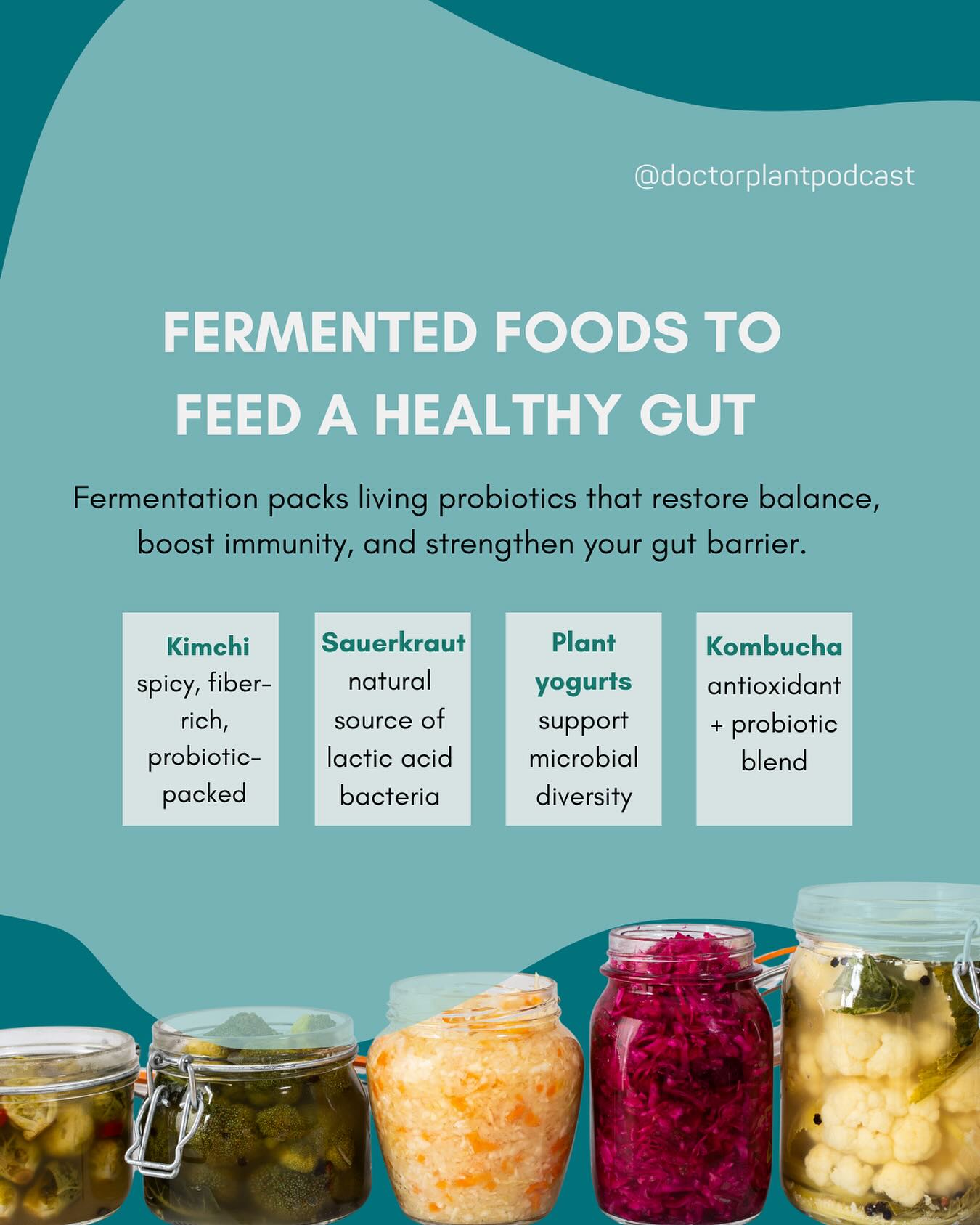 Fermented foods are more than flavor, they are microbial medicine. Each bite delivers living probiotics that help restore balance, reduce inflammation, and support your immune defenses.
A small daily serving can make a measurable difference in your gut ecosystem.
#GutHealth #FermentedFoods #Microbiome #FoodAsMedicine #Probiotics #PlantPowered