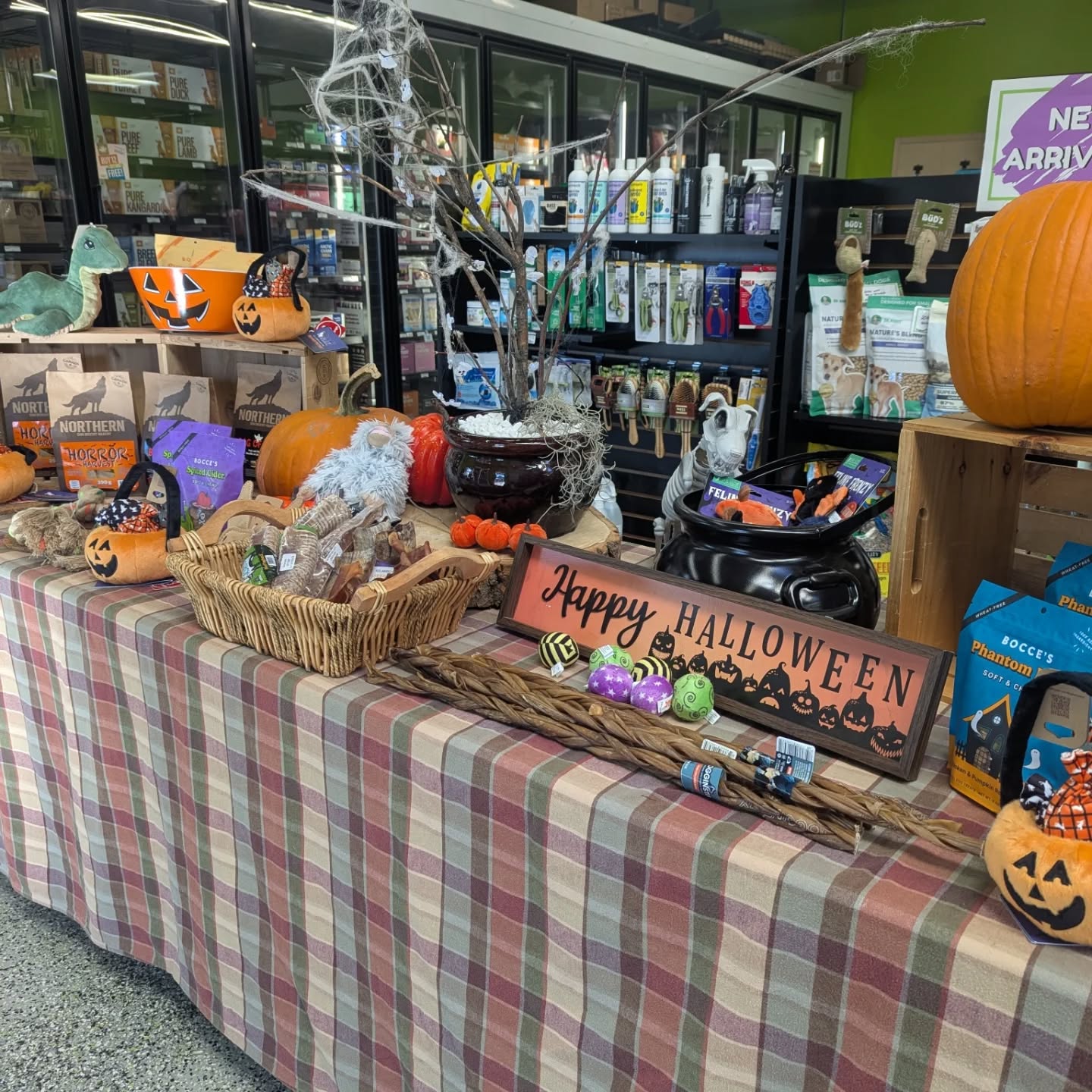 We've got our #halloween goodies all out on display! Come try some fun new treats and toys for your trick-or-treaters! ☠️🎃👻