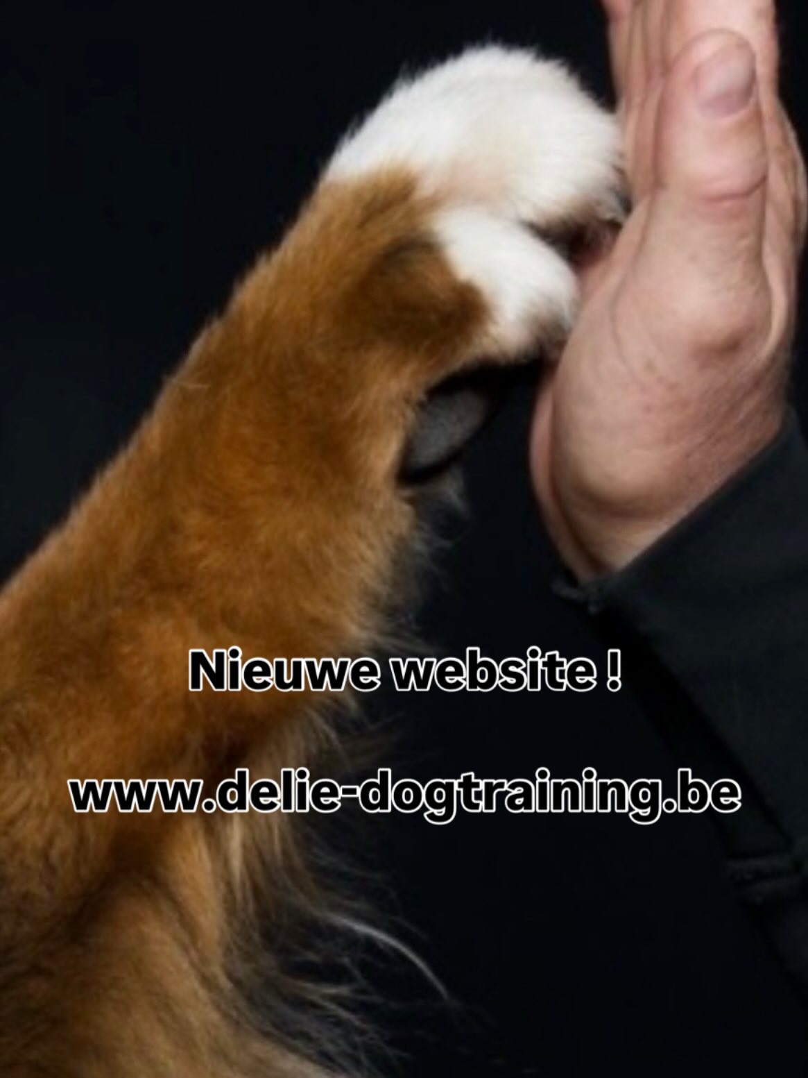 👉🏻 www.delie-dogtraining.be
De nieuwe website is er! Ons best gedaan, veel aan gewerkt, maar met resultaat. Nog meer overzichtelijk. Neem gerust een kijkje 🐾🐾
www.delie-dogtraining.be
We werken verder💪💪🐶