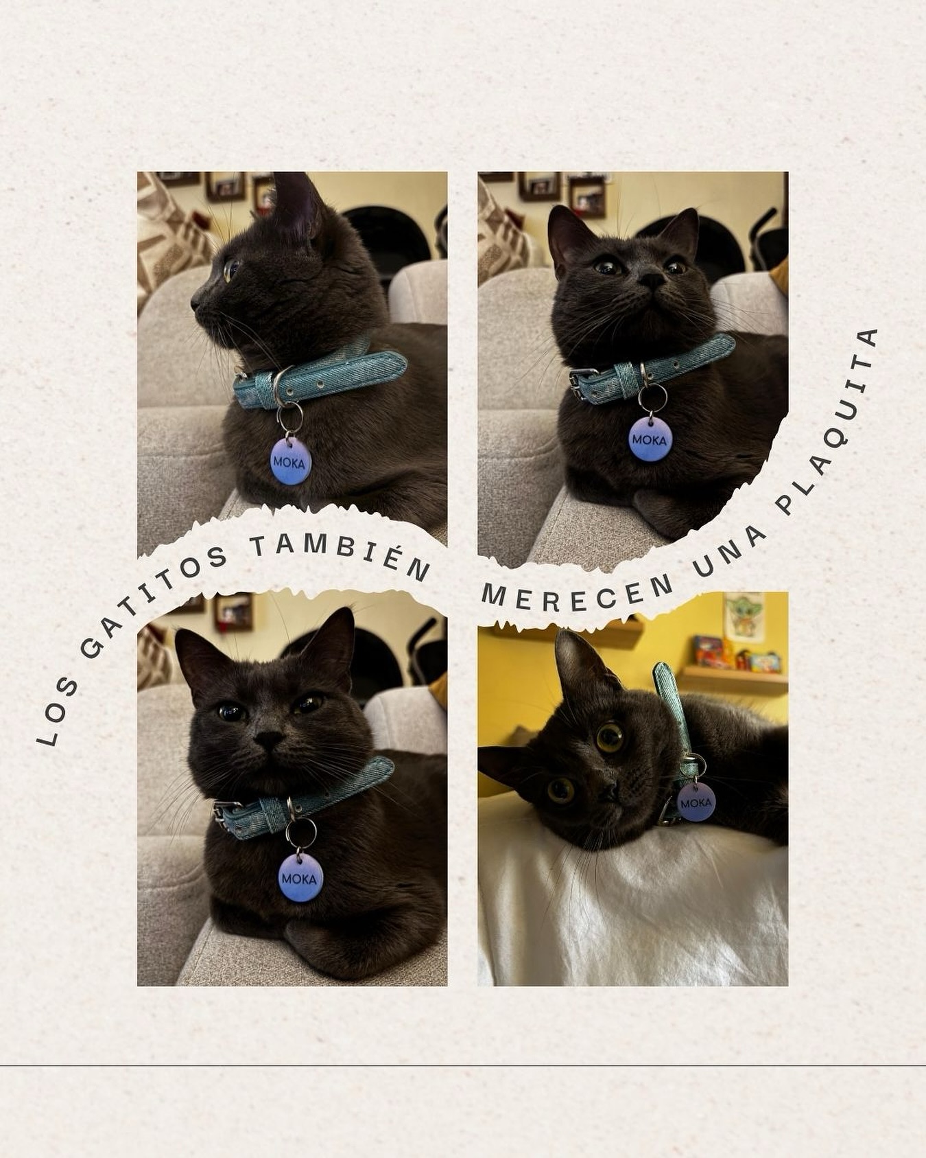 Pequeños, curiosos y aventureros… ¡los gatitos también necesitan una plaquita! 🧡🐾 Nuestras plaquitas XS son ideales para gatos, pequeñas, súper ligeras y con tu información de contacto en la parte de atrás 🐈
Moka esta usando la plaquita Futuro de la Colección Dubai 🐈⬛