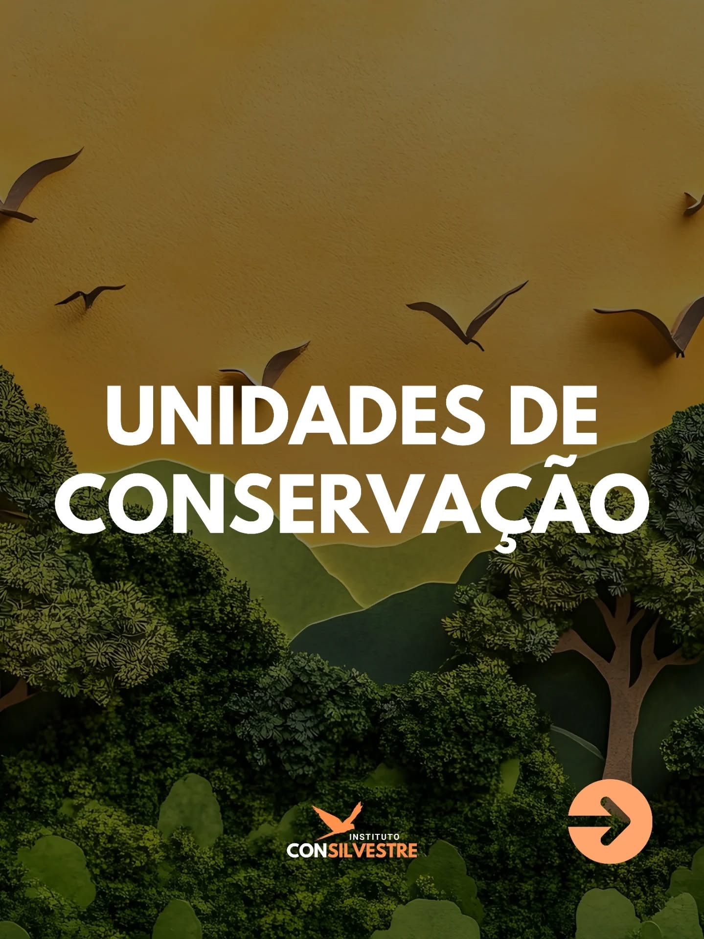 🌎 As Unidades de Conservação desempenham um papel crucial na manutenção do equilíbrio ecológico e na proteção dos nossos animais silvestres. Vamos cuidar e apoiar essas áreas essenciais para o nosso futuro! 🌱
#conservação #meioambiente #biodiversidade #natureza #animaissilvestres #faunasilvestre #organizaçãonãogovernamental #planodeaçãonacional #espéciesameaçadas #proteçãoanimal #monitoramento #ong #camposdosgoytacazes #riodejaneiro #rj #pesquisa #educação #pesquisacientifica #educaçãoambiental #mataatlantica #textoaternativo #consilvestre #institutoconsilvestre #unidadesdeconservação #proteçãoanimal #fauna #ecossistemas