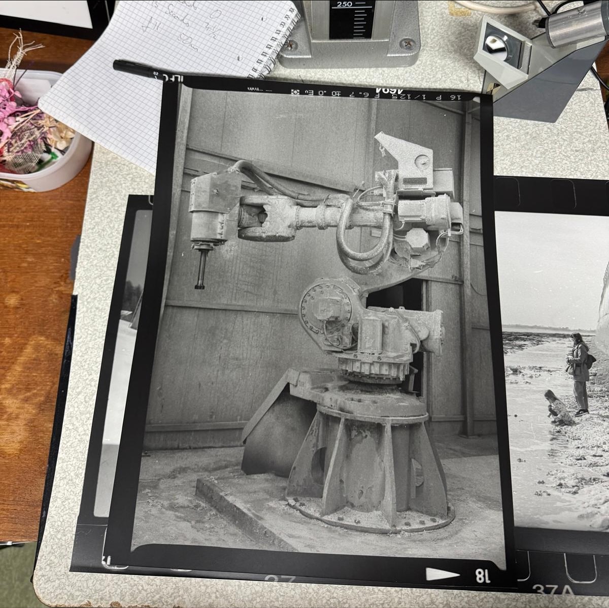 Who's ready to hibernate in the darkroom?
🍂 Autumn and winter are the perfect seasons to get creative! I'm so grateful for regulars like Danny @dannyboatboat who created this print! who bring their passion and talent.
✨Cost: £35/day
✨ Location: Herne Bay, Kent.
✨Book now through my website!
✨ don’t see the date you’re after? Just drop me an email and I can update the schedule