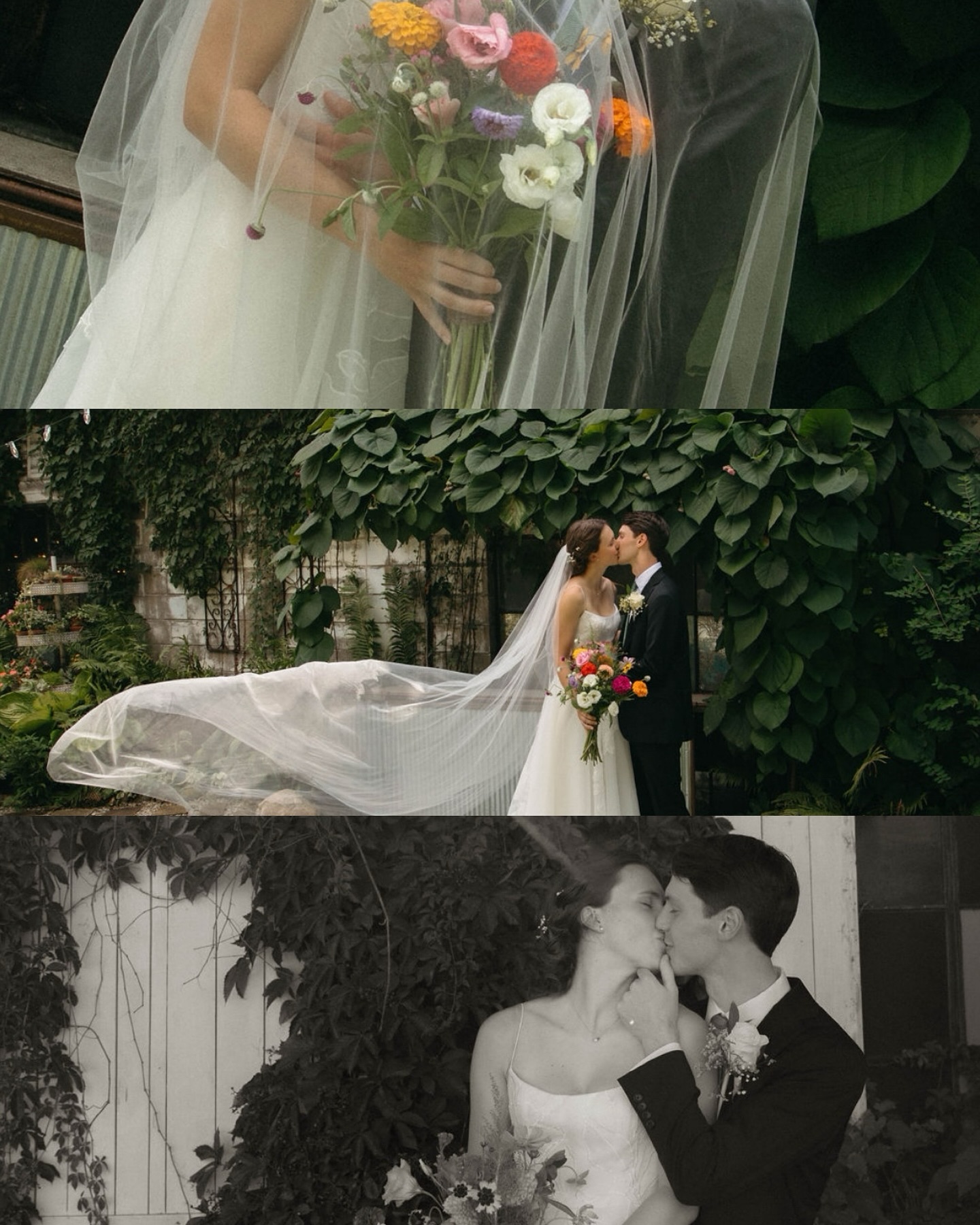 I have so many weddings next year I’m actually at a loss for words. I’ve always wanted to specialize in couples and weddings. I’ve always just been a hopeless romantic so getting to capture love is such a honor and blessing. I promise all my brides that I GOT YOUR BACK! (: I’m here to serve you and serve up the best photos hehe
Thank you thank you for trusting me!
#WeddingSeason
#MichiganWeddingPhotographer
#GrandRapidsWedding
#CinematicLove
#StorytellingPhotographer
#AuthenticLove
#EmpoweredPhoto