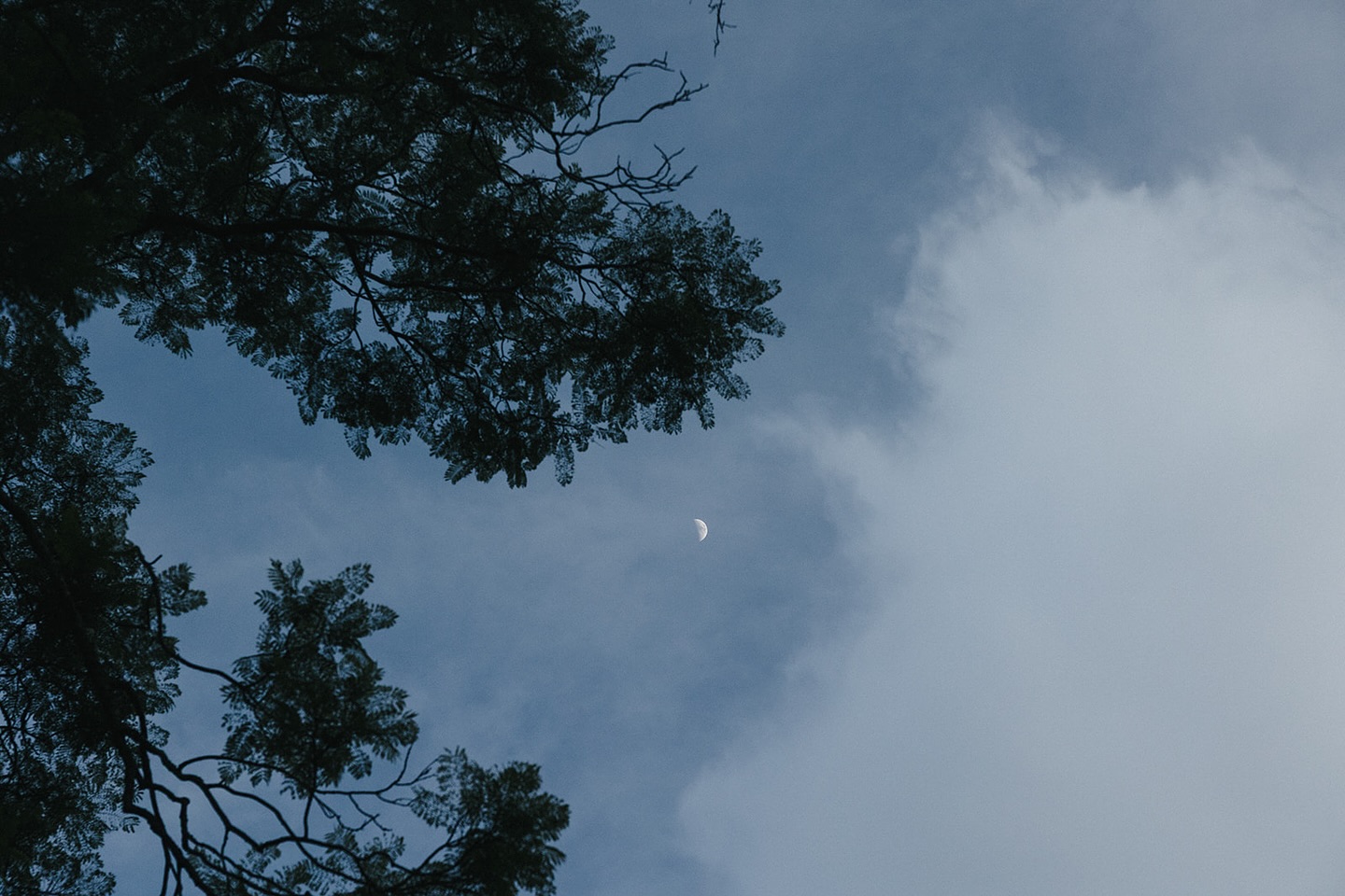 Half moon, 2025.