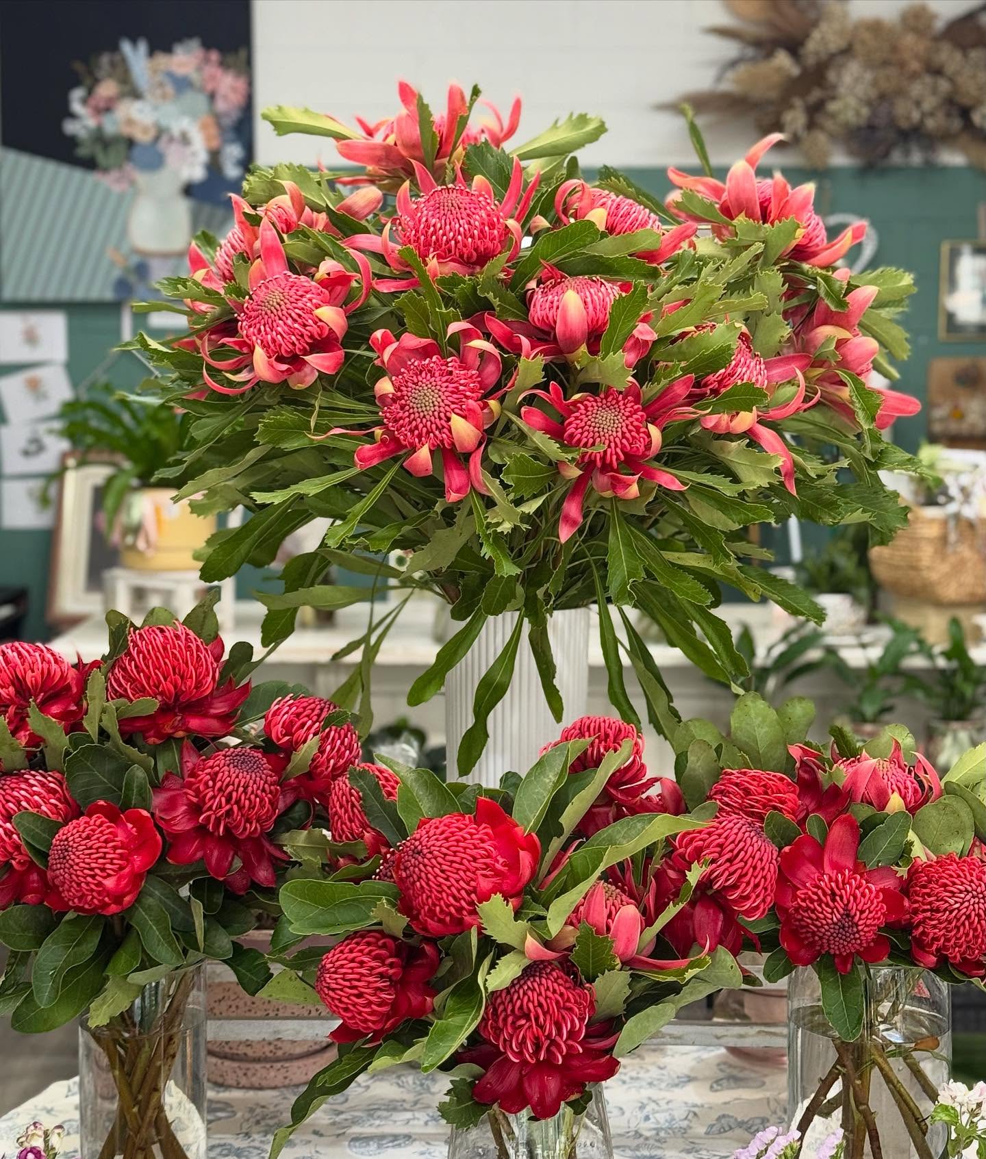 Stunning locally grown WARATAHS💕 Freshly snipped today.
$12 per stem. Pink or Red
Lasts around 2 weeks.
Ph 5243 1070 to nab 1 or 20!
#waratahs #florist #belmontflorist #flowersgeelong