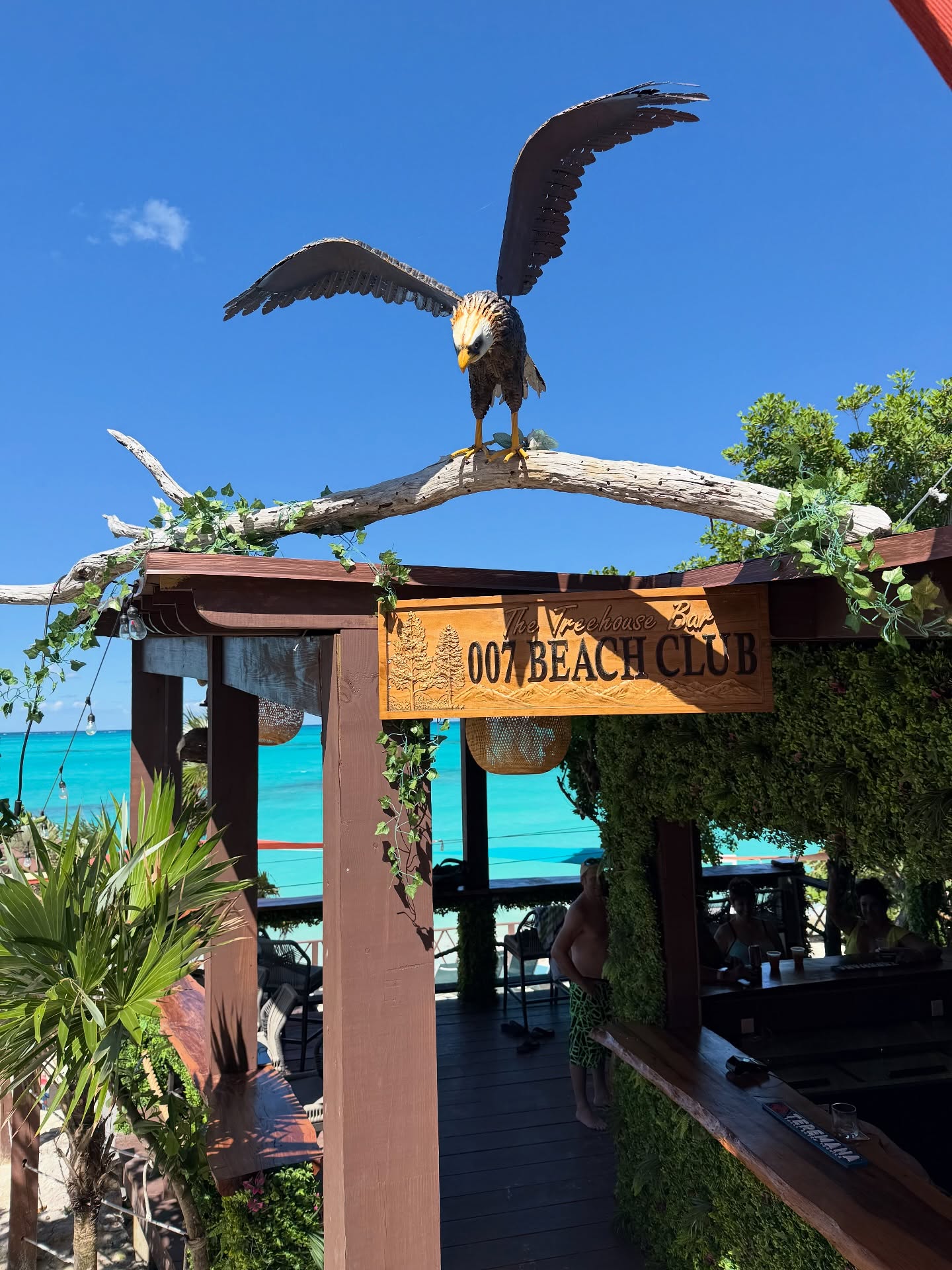 Cheers to another beautiful day! ❤️🇧🇸#oasisocean7beachclub
#beachclubvibes #swimmingpigs #roseisland #bahamas