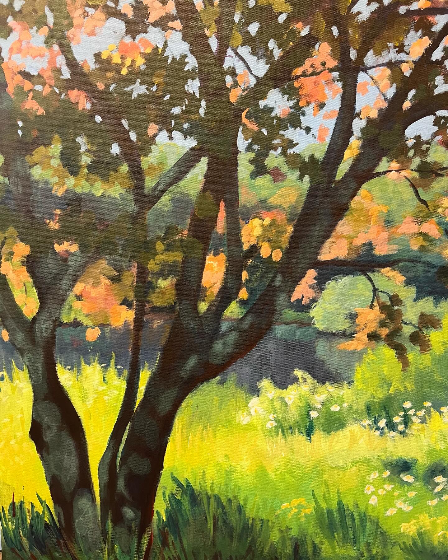 Looking through the maple tree, across the field of wild flowers, to the pond.  A summer memory on a fall day.