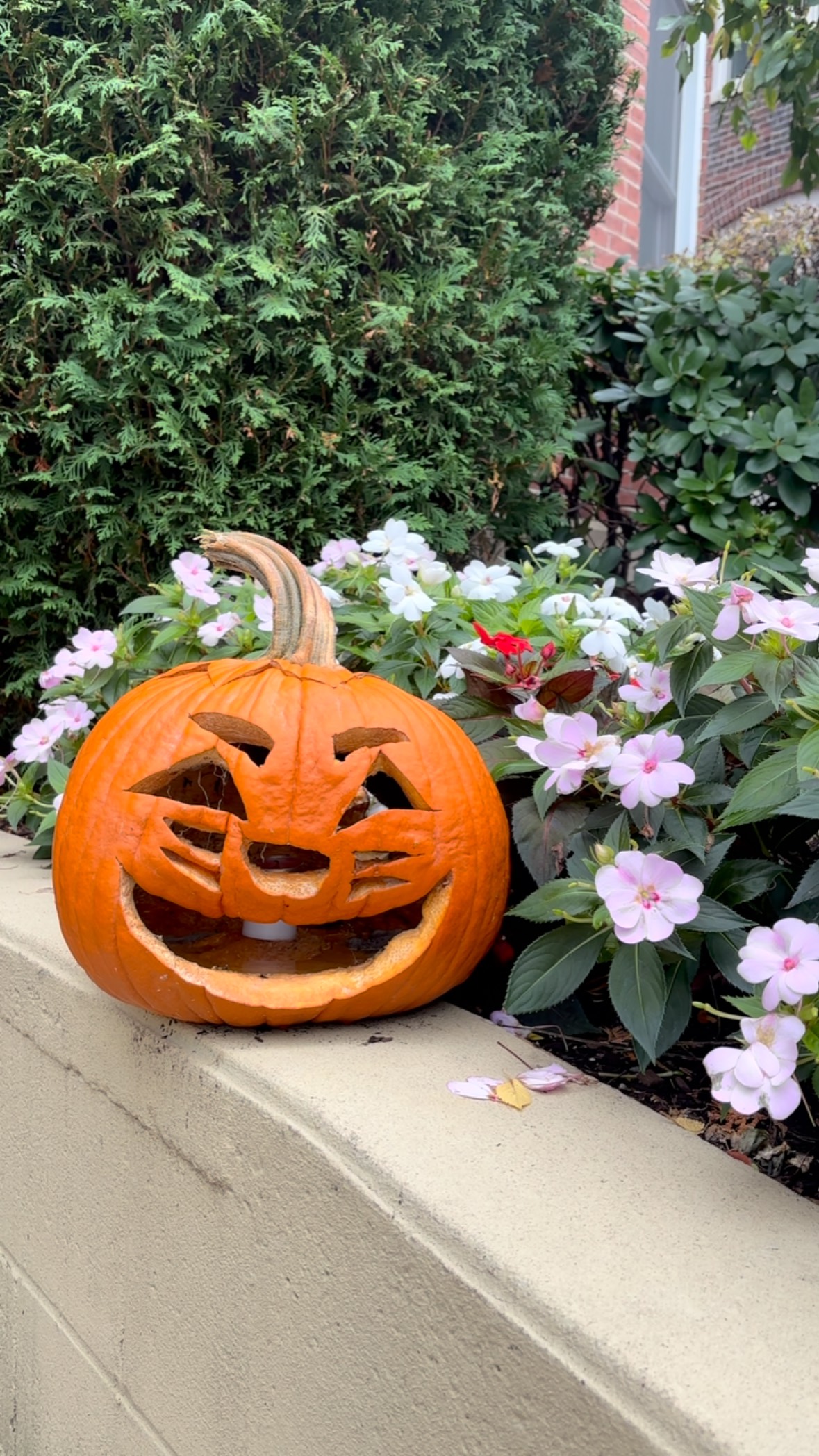 Halloween may be over but parenting in isolation is still spooky!
Join us for our stroller walk this Thursday at 10am for some community and connection.
Free. Casual. All moms & caregivers welcome.
Just show up- we can’t wait to see you!💜
#postpartum #bostonmoms #findyourvillage