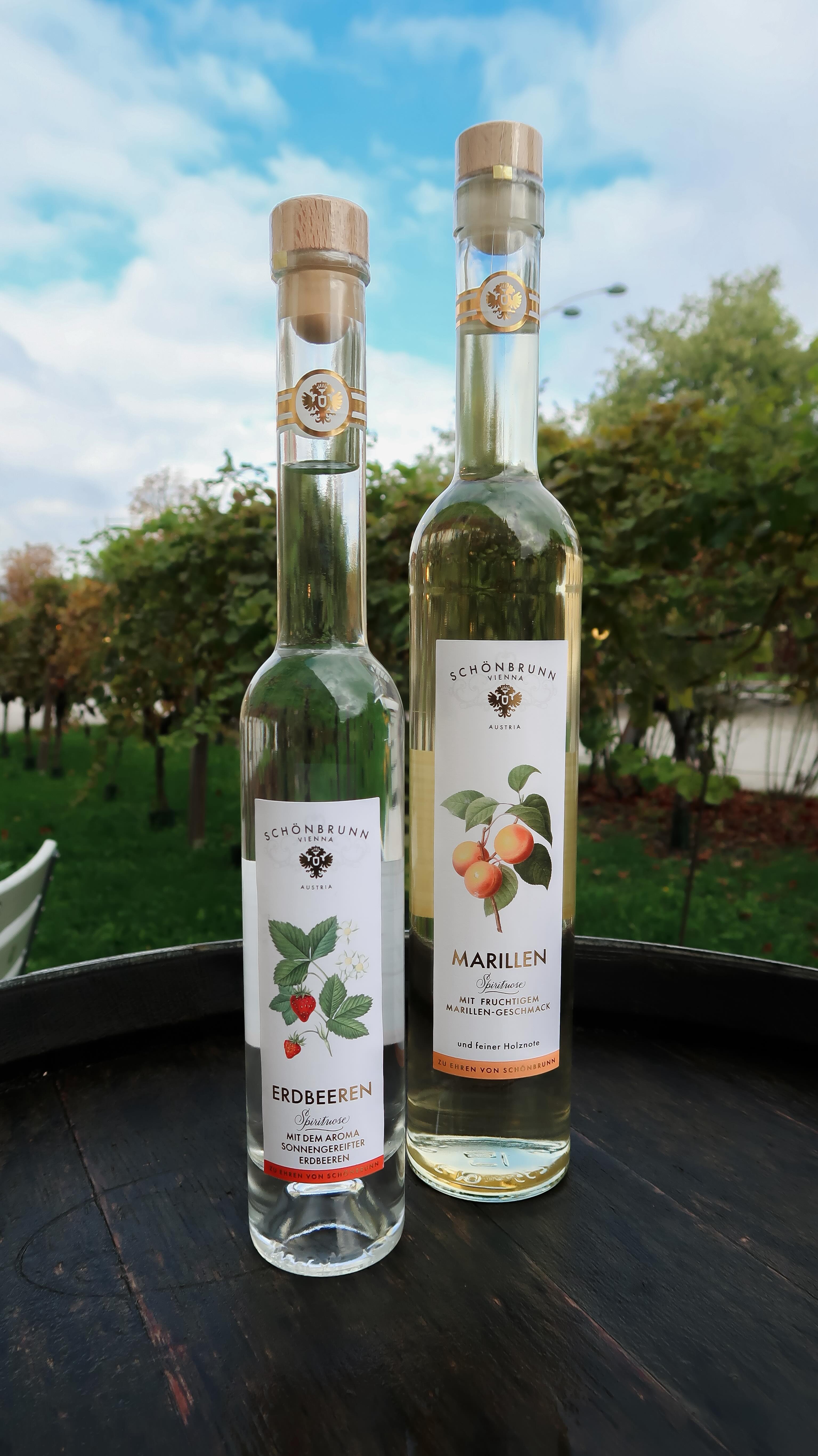 Suppenzeit ist! 🍲 Und wie würzt du am besten eine Rindsuppe? Andi verrät’s dir! 👨🍳
#SchlossSchönbrunn #Vienna #VisitVienna #VisitSchlossSchönbrunn #kochen
#Joseph2 #Kochtipps #Restaurant #RestaurantWien #Wien #Vienna #FoodGuideVienna #Foodguide #WienerKüche