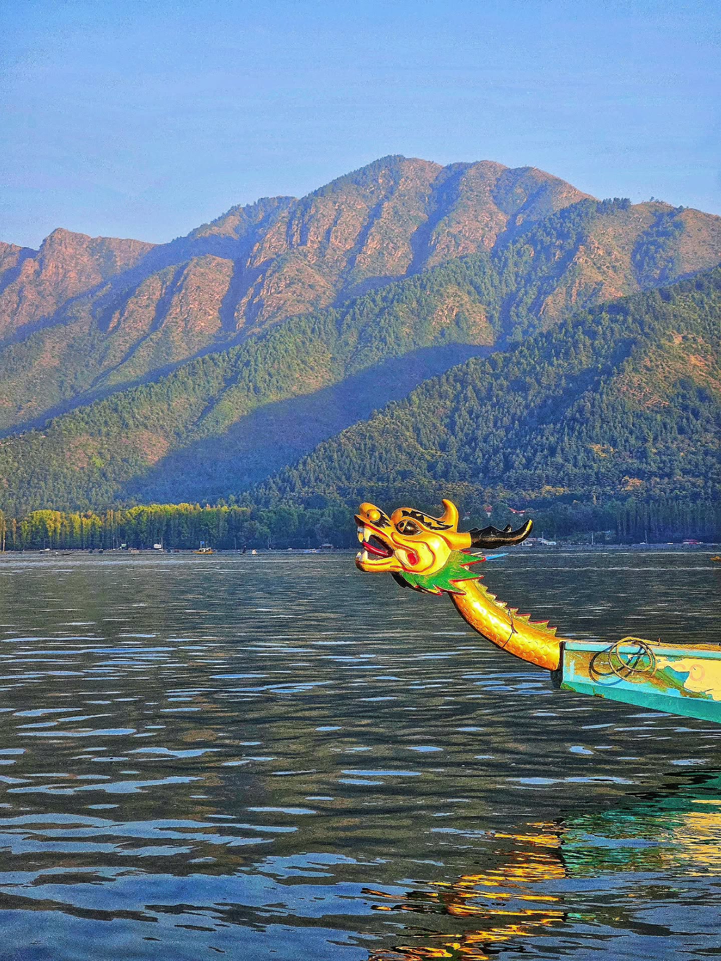Definitely didn't expect to see a #DragonBoat on #DalLake 🐲
Was refreshing to see youngsters take rowing very seriously on a Tuesday afternoon 🚣♀️
