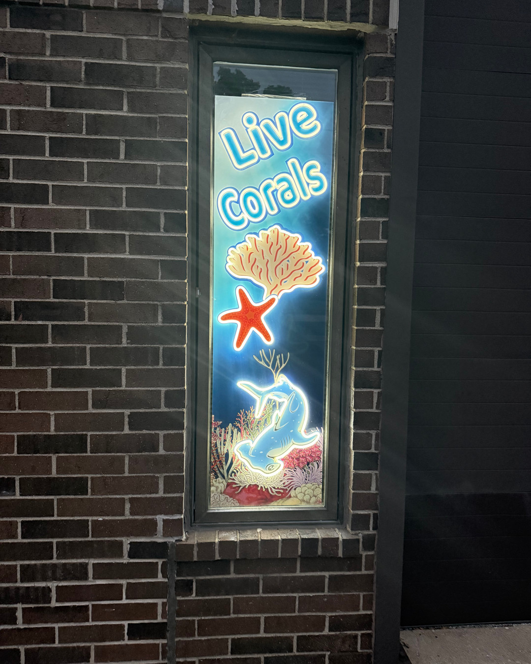 Dive into the aquatic world with Marine Concepts! 🌊✨ We offer complete, tailored aquarium solutions, from expert design and installation to vibrant coral shipments. Whether you're a homeowner, business, or an aquarium hobbyist, we’re here to transform your space into an underwater paradise. Explore our services today! Link in bio. 🐠💙
#AquariumDesign #MarineLife #ChicagolandAquariums #CoralLove #FishTankGoals #HomeAquarium #AquariumHobbyist #UnderwaterWorld