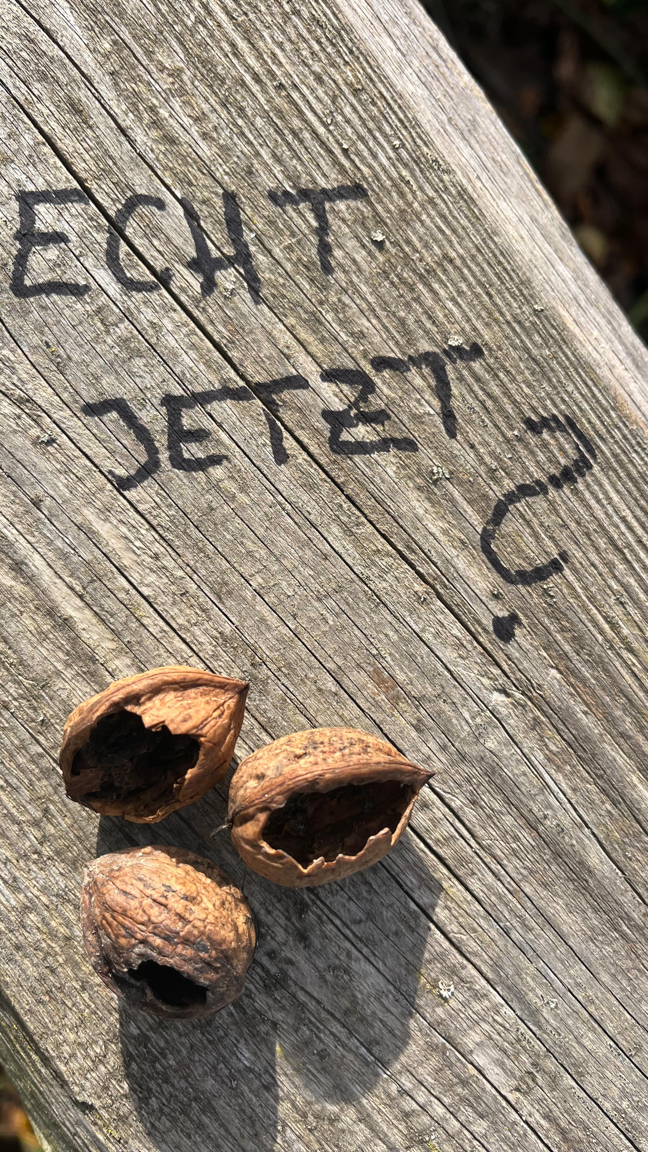 Are we nuts???
Du kannst in Deutschland im Laden keine Deutschen Nüsse kaufen 😂🙈 Achtet beim nächsten Einkauf mal darauf…das ist totaler Irrsinn und eigentlich sehr Schade, da es so unendlich viele Produkte gibt bei denen es nicht nötig wäre sie einmal quer über den Globus 🌍 zu transportieren.
Und hier liegt das Problem, Arbeitszeit ist teuer, das geht uns im Gemüsebau nicht anders und mal ehrlich jeder der in dem Bereich arbeitet hat jeden Cent verdient, da unser Job oft heftig ist. Und 14€ Mindestlohn sind dafür absolut gerechtfertigt, jedoch sorgt das auch für einen dem entsprechenden Preis für in Deutschland erzeugte Ware.
Das funktioniert dann aber auch nur wenn man die Produkte selber vermarktet. In Kombination mit dem Großhandel geht die Rechnung meist gar nicht mehr auf. Und dann sind wir natürlich nicht mehr konkurrenzfähig wenn zB. in Spanien der Mindestlohn bei 7€ liegt, die das Gleiche Problem mit Marokko haben wo wir bei 2,50€ sind. Oder Kenia, da sprechen wir von 2€ für den ganzen Tag….wer bitte würde von uns 12h arbeiten für 2€ Entlohnung????
Ihr seht also das Ganze zieht einen sehhhhhr langen Rattenschwanz nach sich.
Die Frage die sich stellt ist, wollen wir das wirklich? Welchen Vorteil hat es für uns wenn wir versuchen die Wertschöpfung in Deutschland zu belassen. Wenn mittlerweile Großmächte wie China oder die USA versuchen ihre eigene Lebensmittelproduktion ins eigene Land zu verlegen um sichere Strukturen aufzubauen.
Ist es uns wirklich lieber unser erarbeitetes Geld über den Planeten zu schicken, und den Zwischenhandel zu finanzieren die den Großteil des Lohns einstreicht? Oder stecken wir es lieber dem Erzeuger vor Ort zu, sodass es über 5 Ecken wieder bei uns in der Tasche landet ?
Zum Glück haben wir ja jeden Tag aufs Neue wieder die Entscheidung wofür wir unser Geld ausgeben 🤗
Verlinkt mal alle Nussbauern die ihr bei uns kennt, vielleicht können wir ihnen ein erfolgreiches Jahr bescheren
#nuss #walnuss #permakultur #nussbauer #regional #farmlife #haselnuss #deutschland #nüsse #nusskultur #bauernhof #vielfalt #gesund #nussbaum #savetheplanet #wertschöpfung #wertvoll #zukunft #arewenuts #streuobst #ernte #echtjetzt