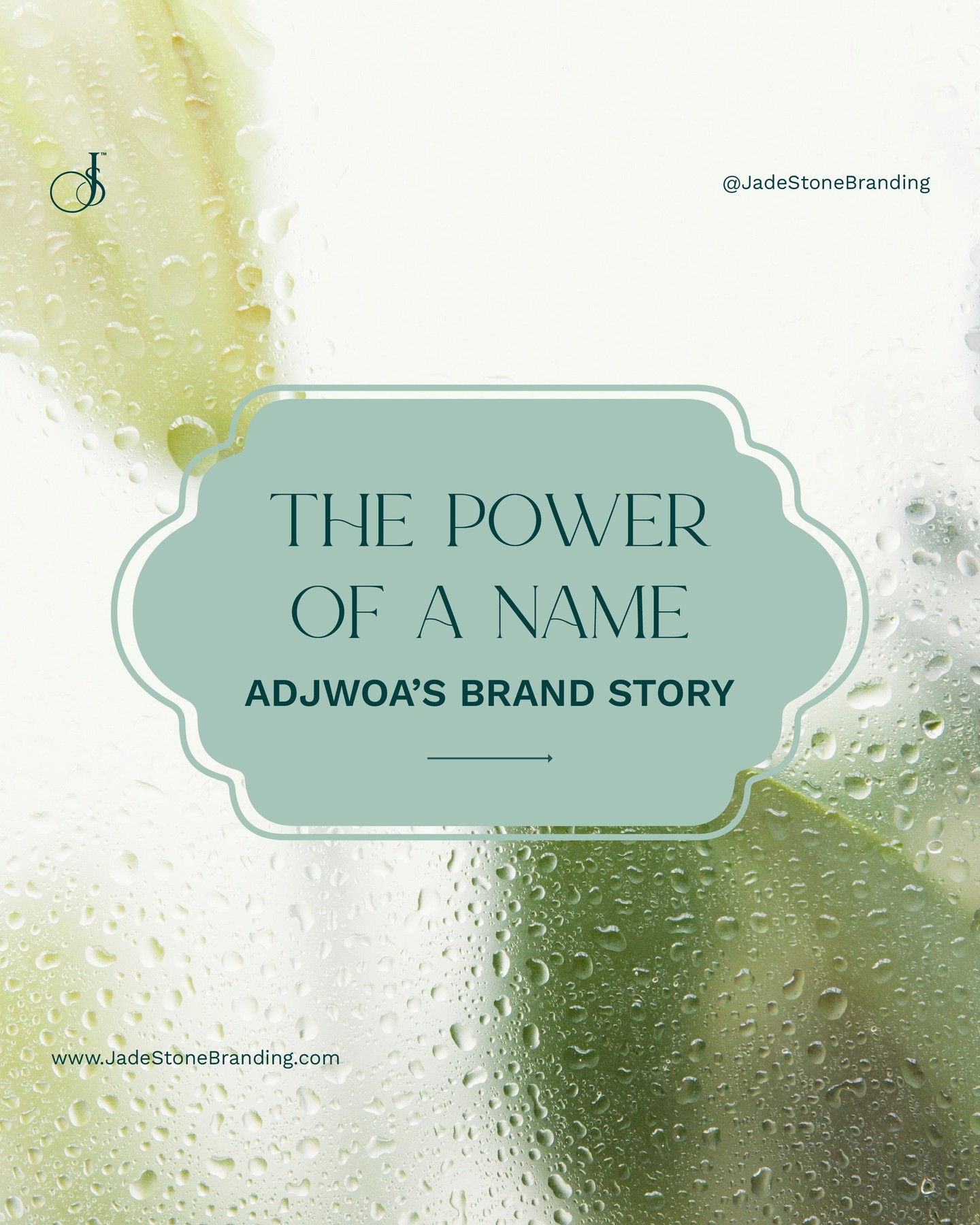 The moment you choose a name, you set the tone for your entire brand story.
When Adjwoa first came to us with her project, she had the passion, the vision, and the roots of a story ready to grow. But her brand name? It was holding her back before the journey even began.
We caught the pitfalls early, guided her toward a more strategic foundation, and uncovered names that felt as meaningful as they were market-ready.
Which name do you think she chose? Comment below and follow us for the reveal in a few weeks!
.
.
.
#lifestylebrandstrategy #brandnaming #brandidentity #gotomarket #GTMstrategy #lifestylebrand #jadestonebranding